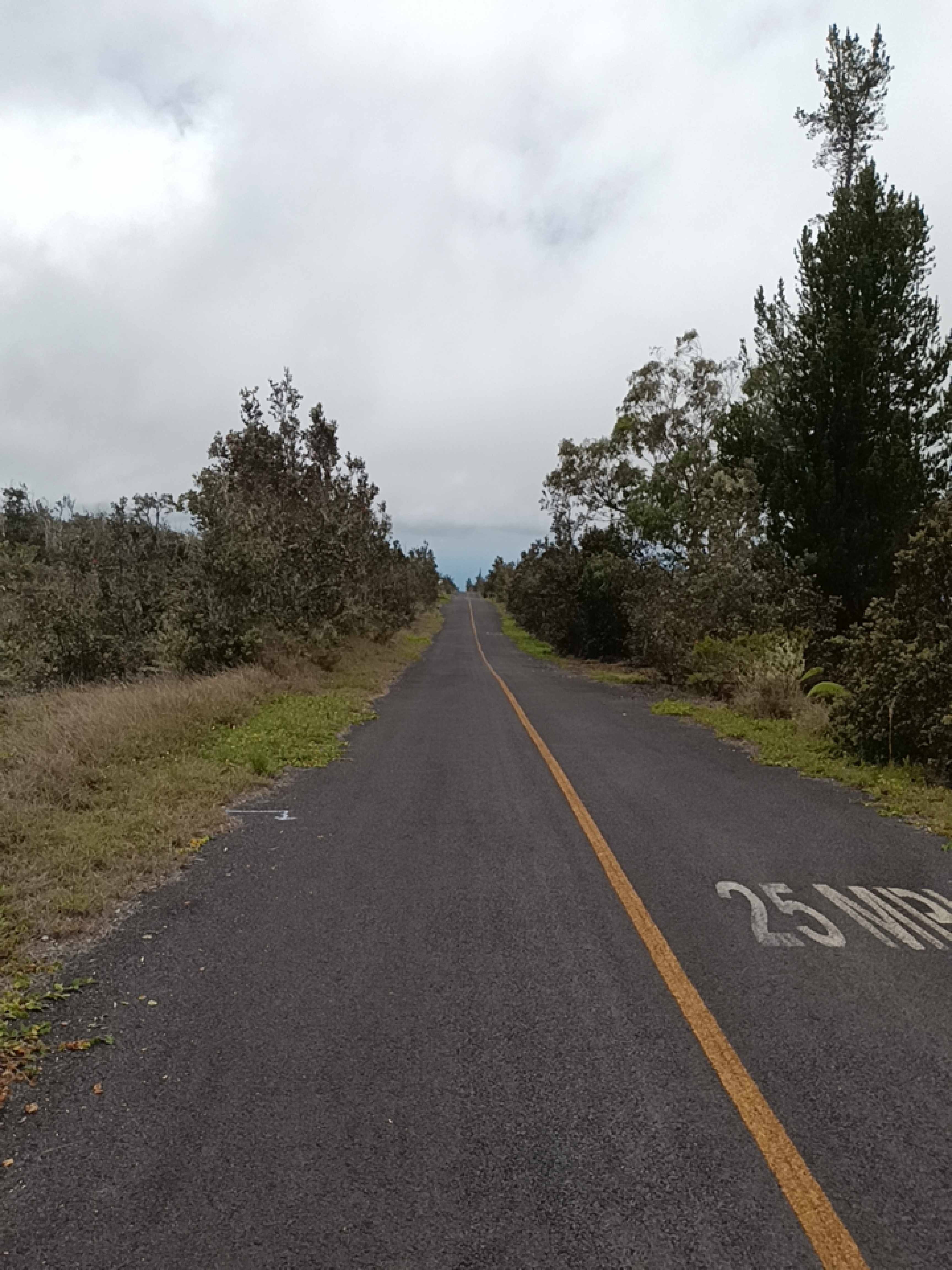 Ocean View, HI 96737,BAMBOO LN