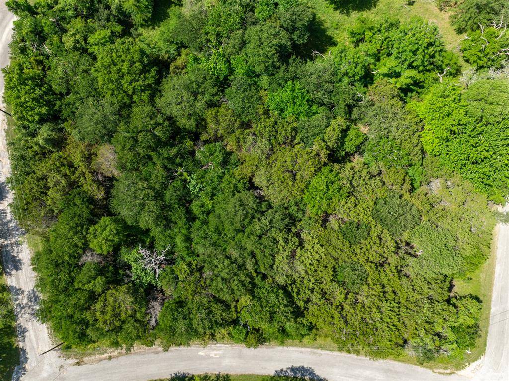 Whitney, TX 76692,21070 Trailwood Drive