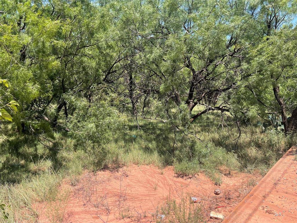 Abilene, TX 79603,2458 Shotgun N