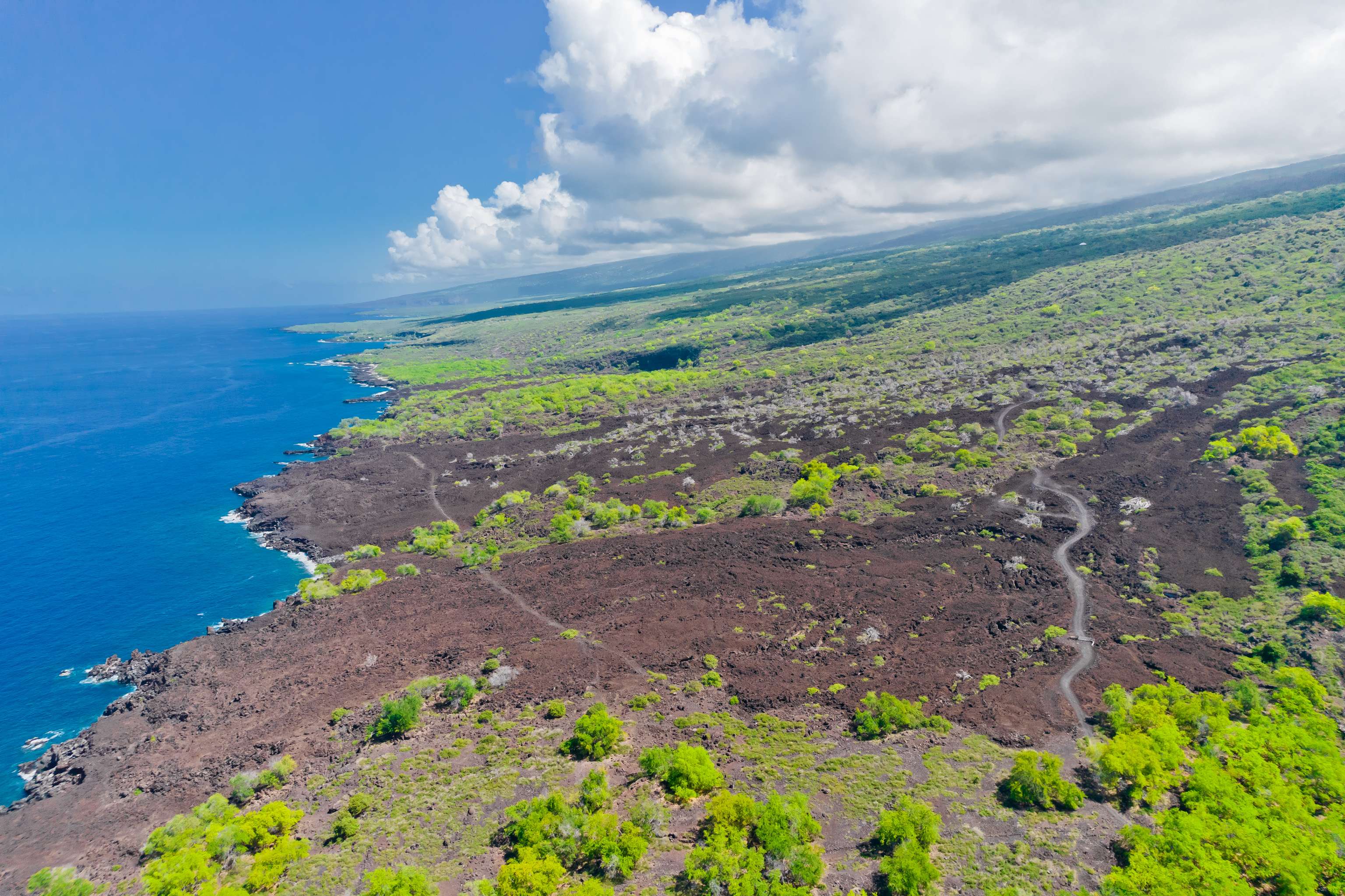 Captain Cook, HI 96704,86-3845 OLD GOVERNMENT RD