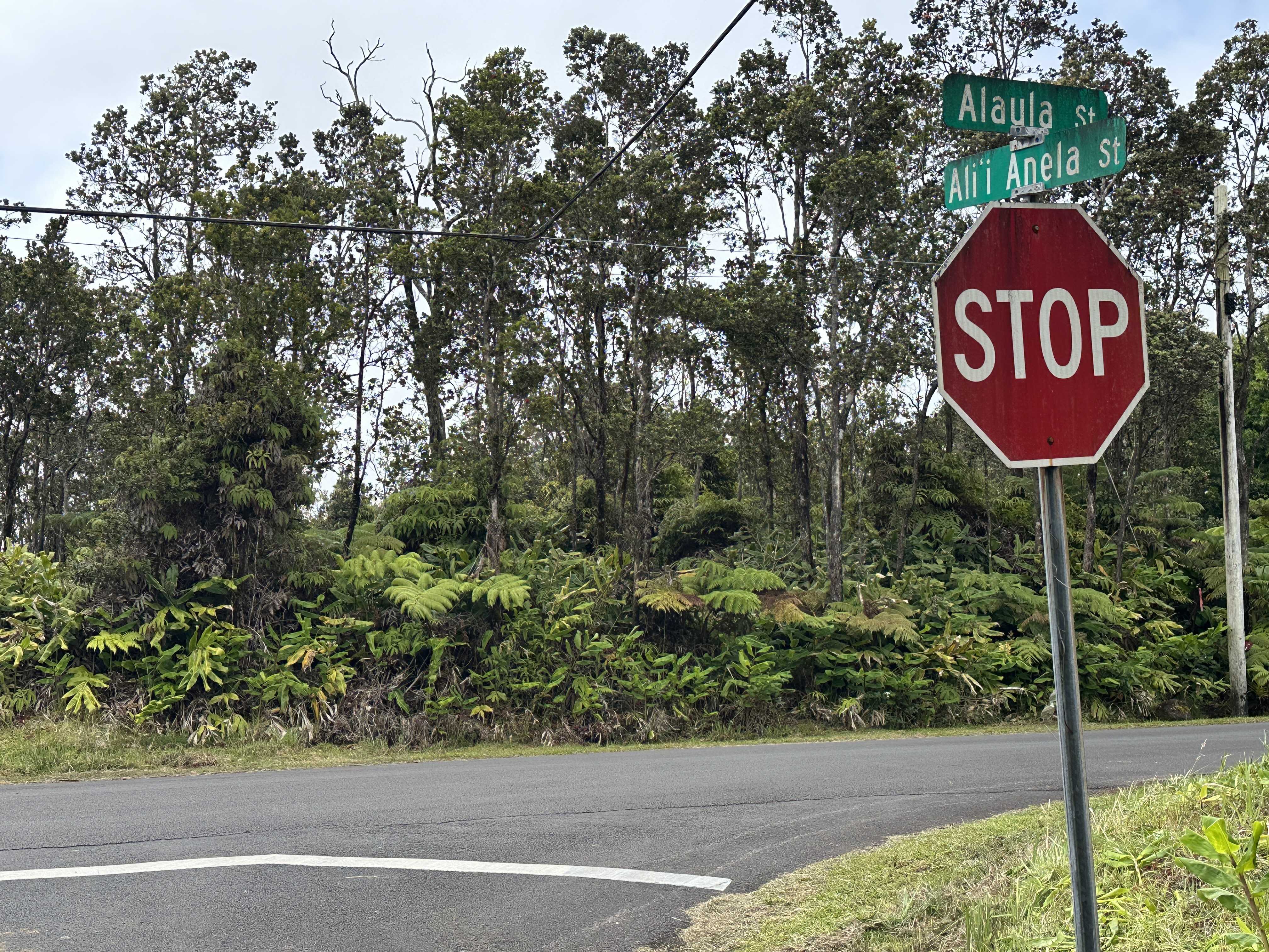 Volcano, HI 96785,ALAULA ST