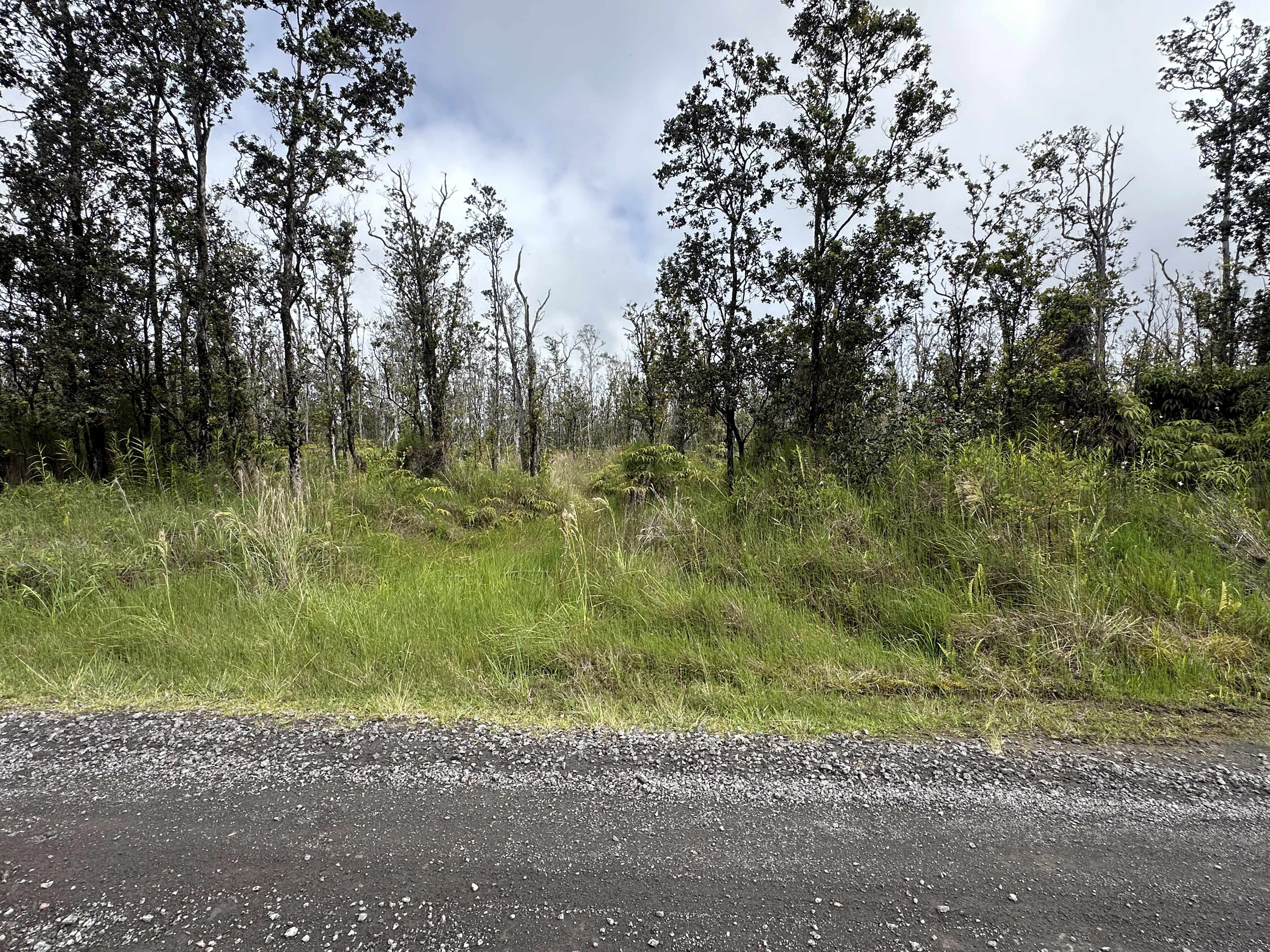 KALEPONI DR, Volcano, HI 96785