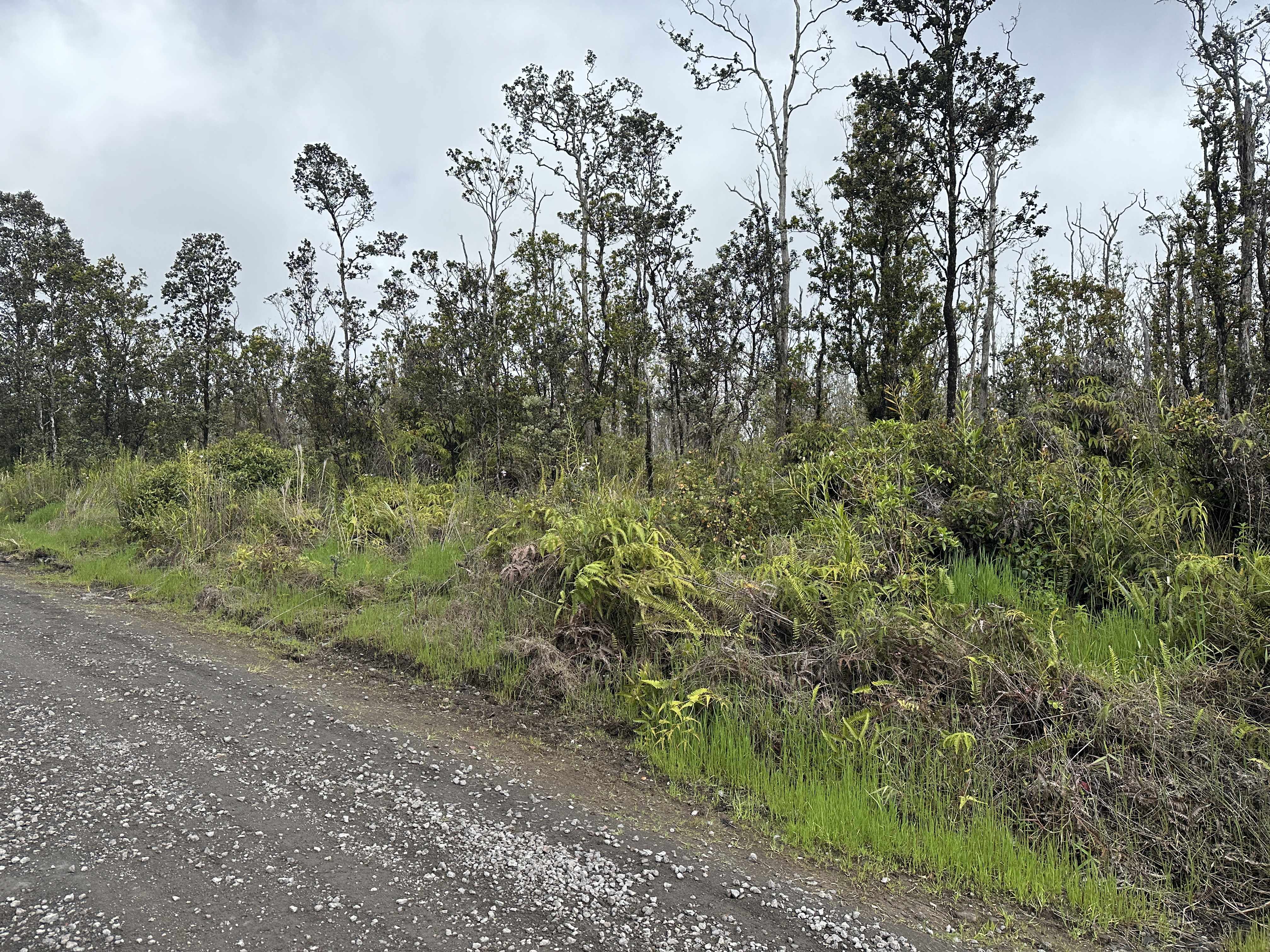 KALEPONI DR, Volcano, HI 96785