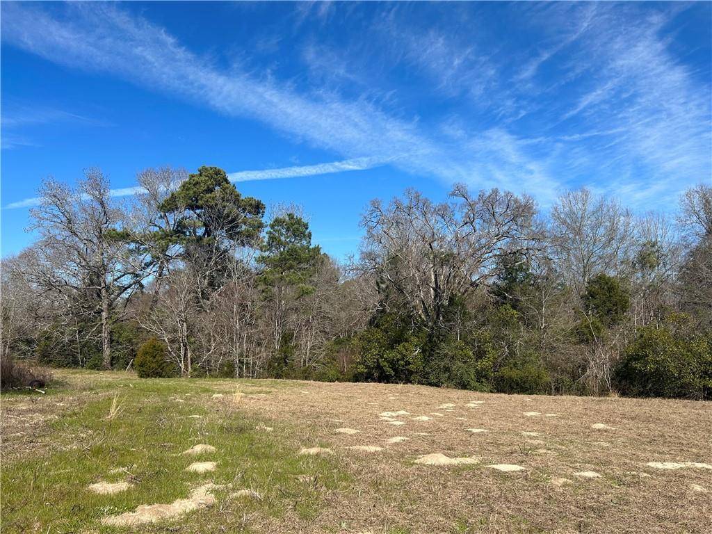 Grapeland, TX 75844,2133 FM 2423