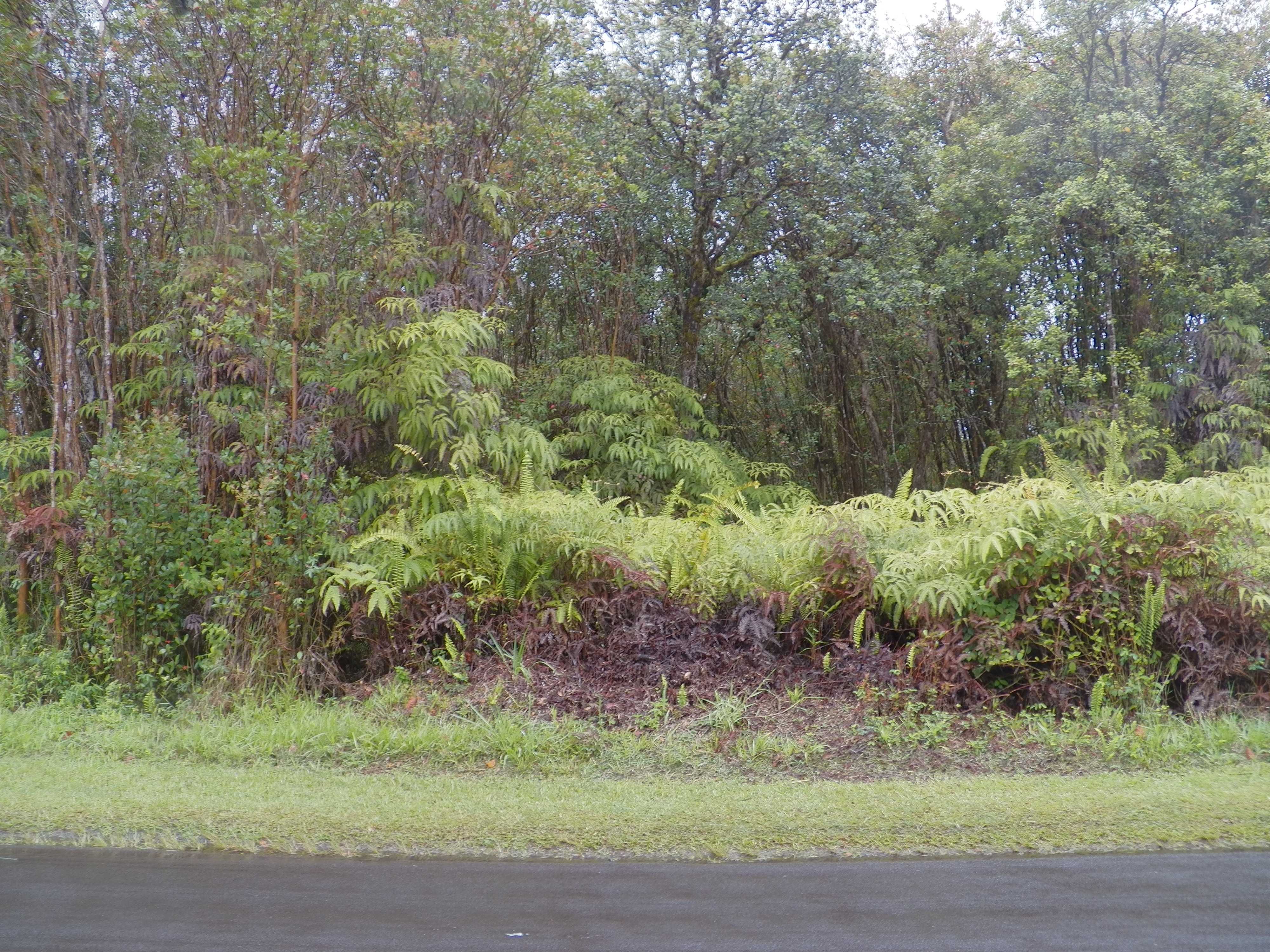 Mountain View, HI 96771,PIKAKE ST