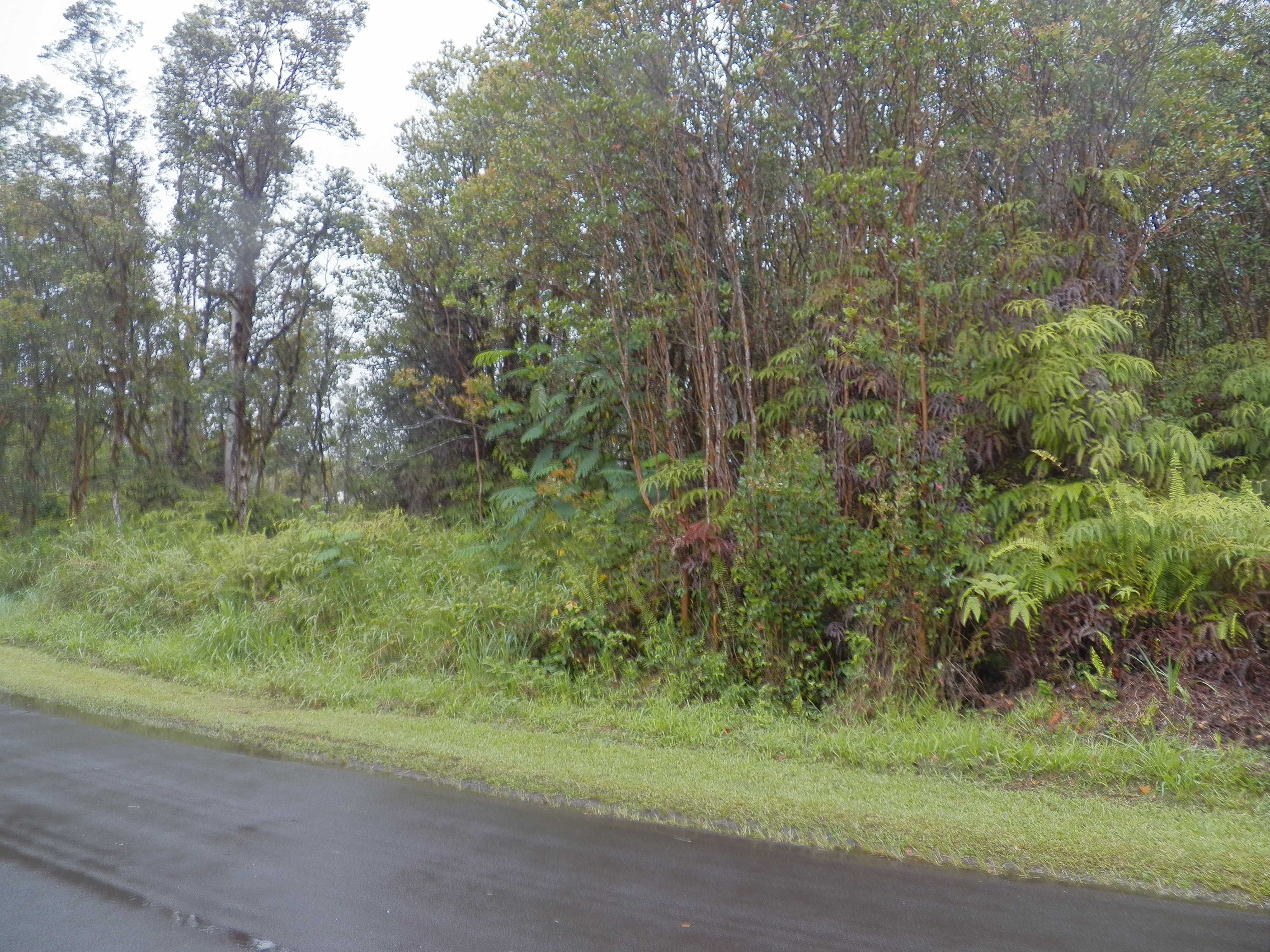 Mountain View, HI 96771,PIKAKE ST