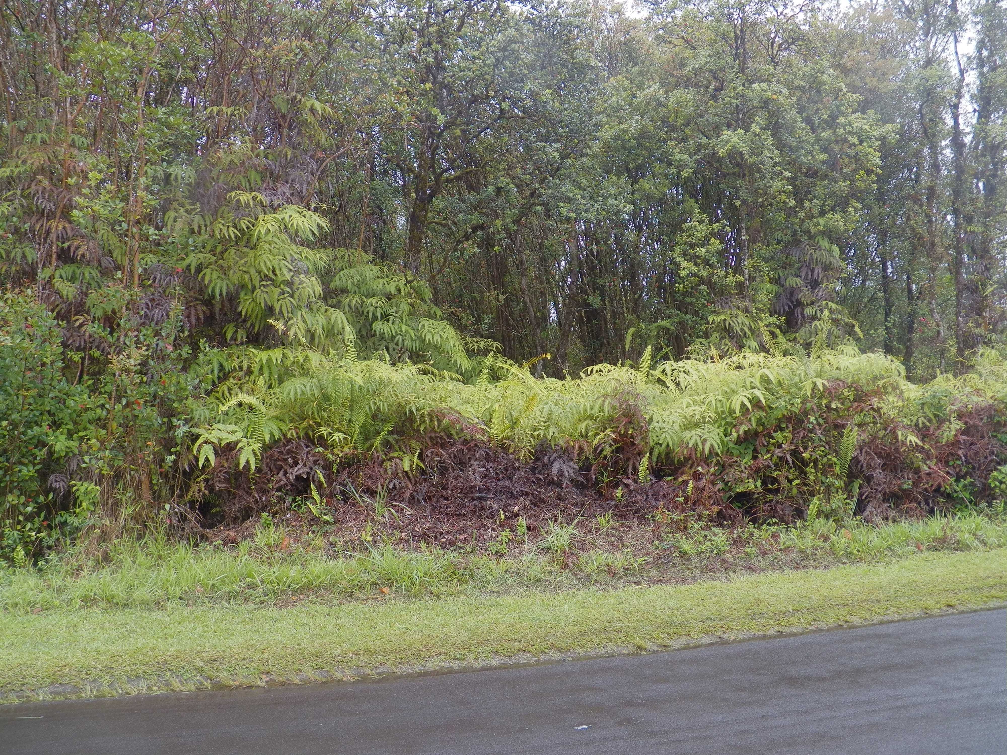 Mountain View, HI 96771,PIKAKE ST