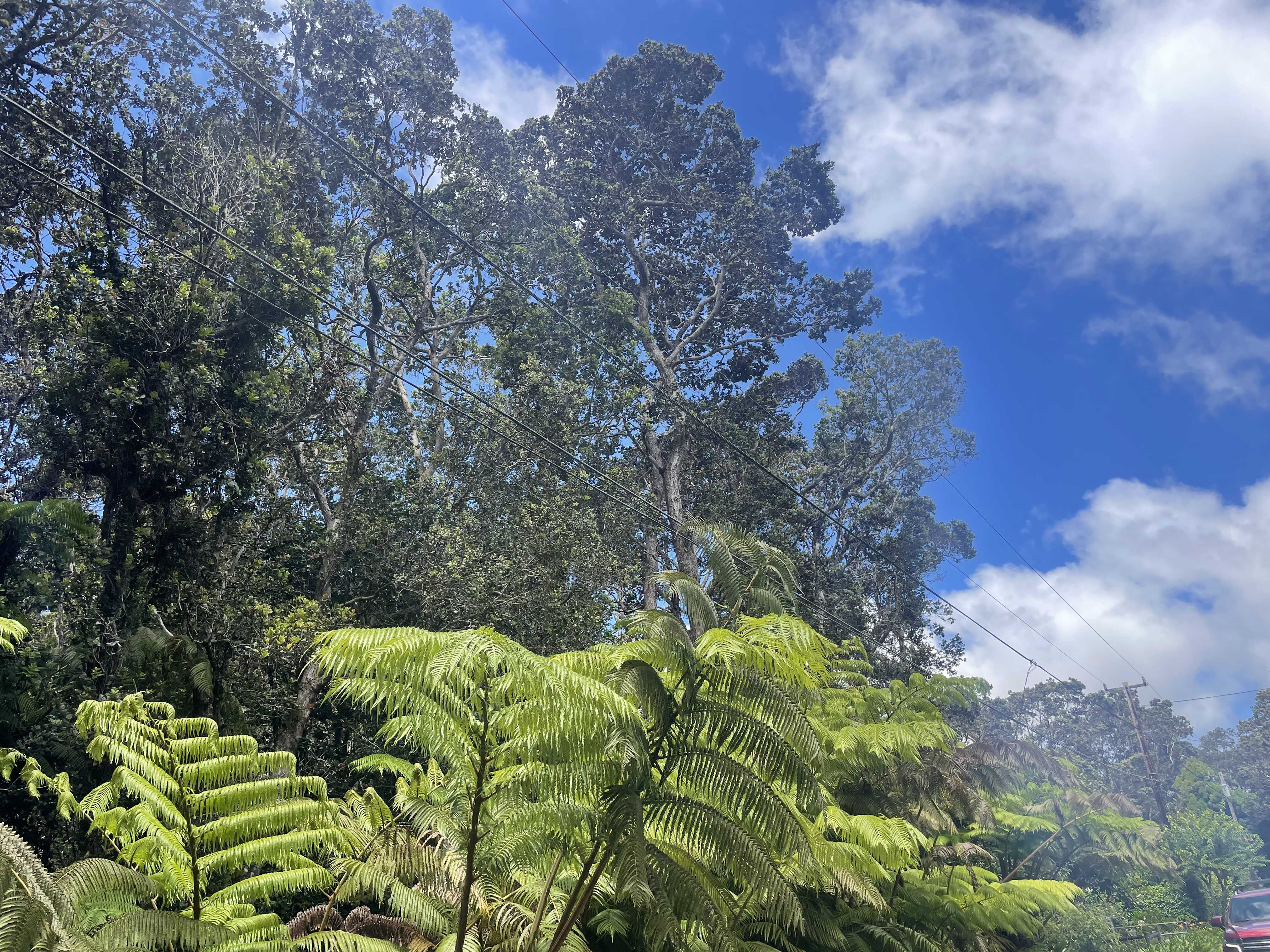 19-4122 KALANI HONUA LOOP, Volcano, HI 96785