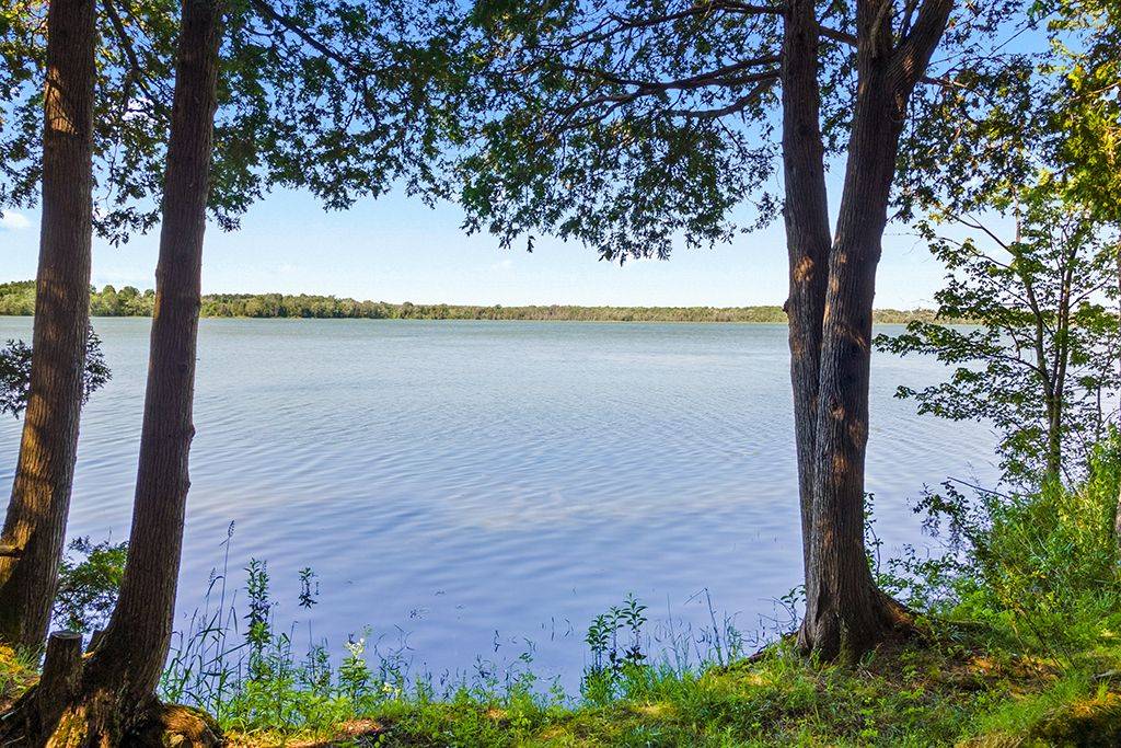 Georgian Bluffs, ON N0H 2T0,382185 Concession 17 RD