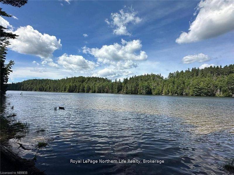 Temagami, ON P0H 2H0,11515 Rabbit Lake N/A