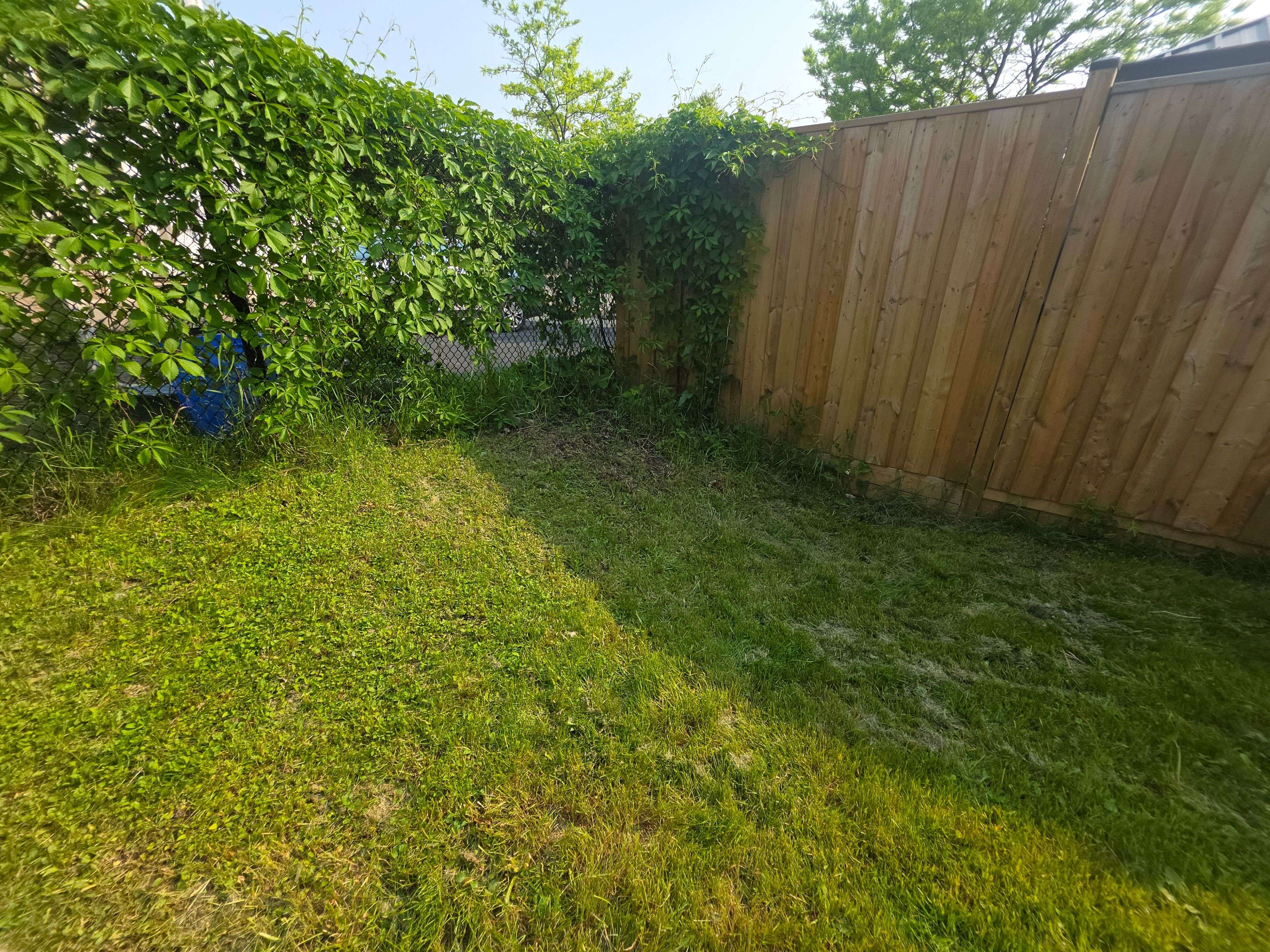 Halton Hills, ON L7G 6K3,4 Seed House LN