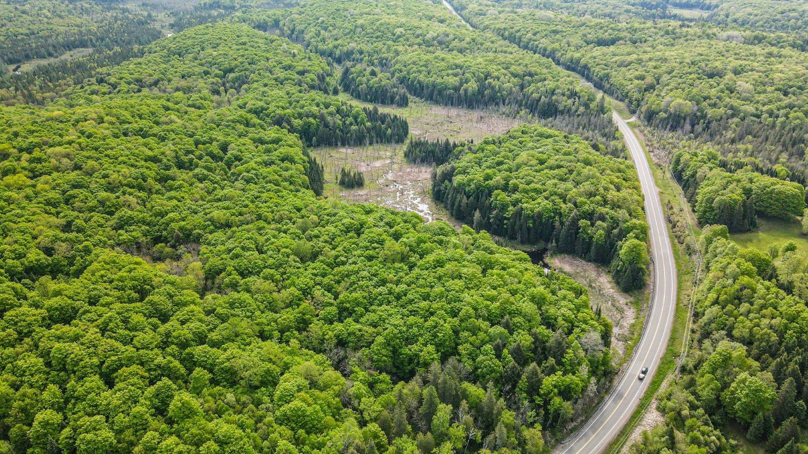 Highlands East, ON K0L 2Y0,Part 1 Highway 118 N/A