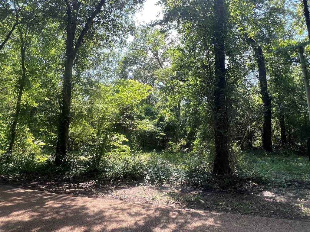 Fruitvale, TX 75127,TBD VZ 1913