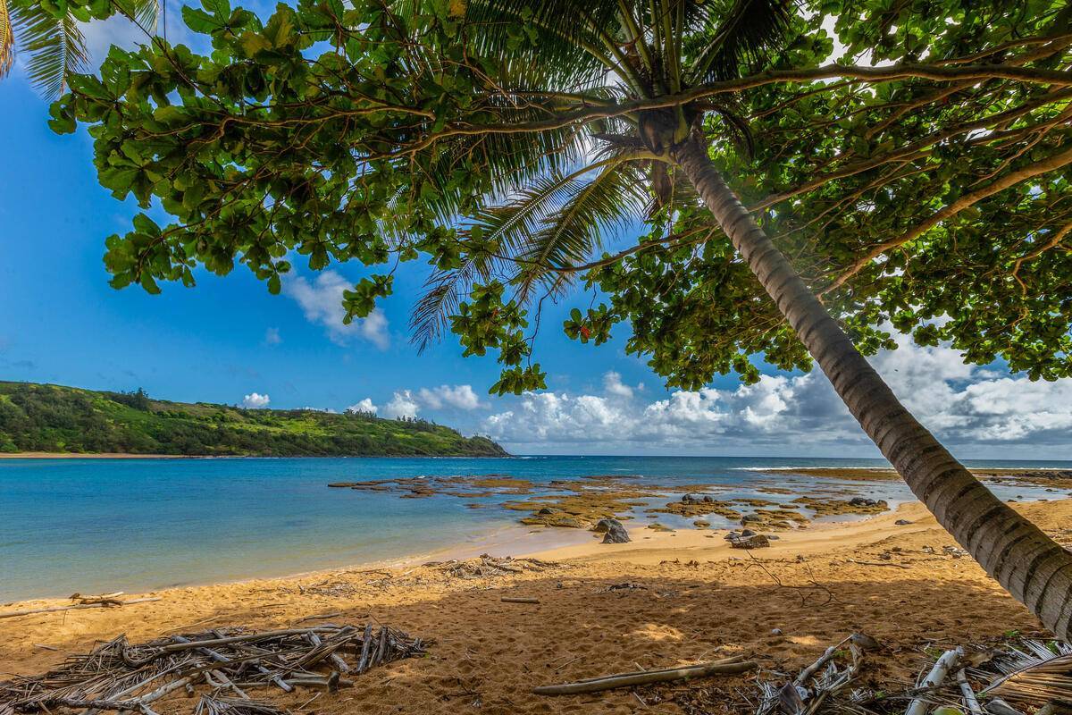 6235 KOOLAU RD, Anahola, HI 96703