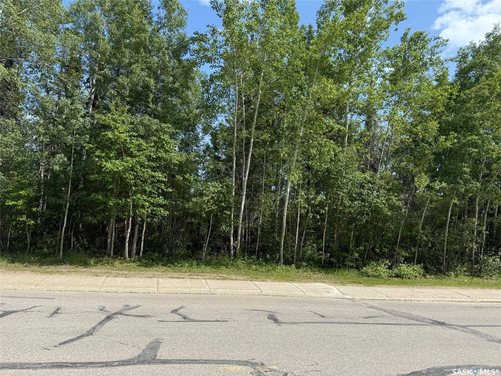 La Ronge, SK S0J 1L0,1443 Studer STREET