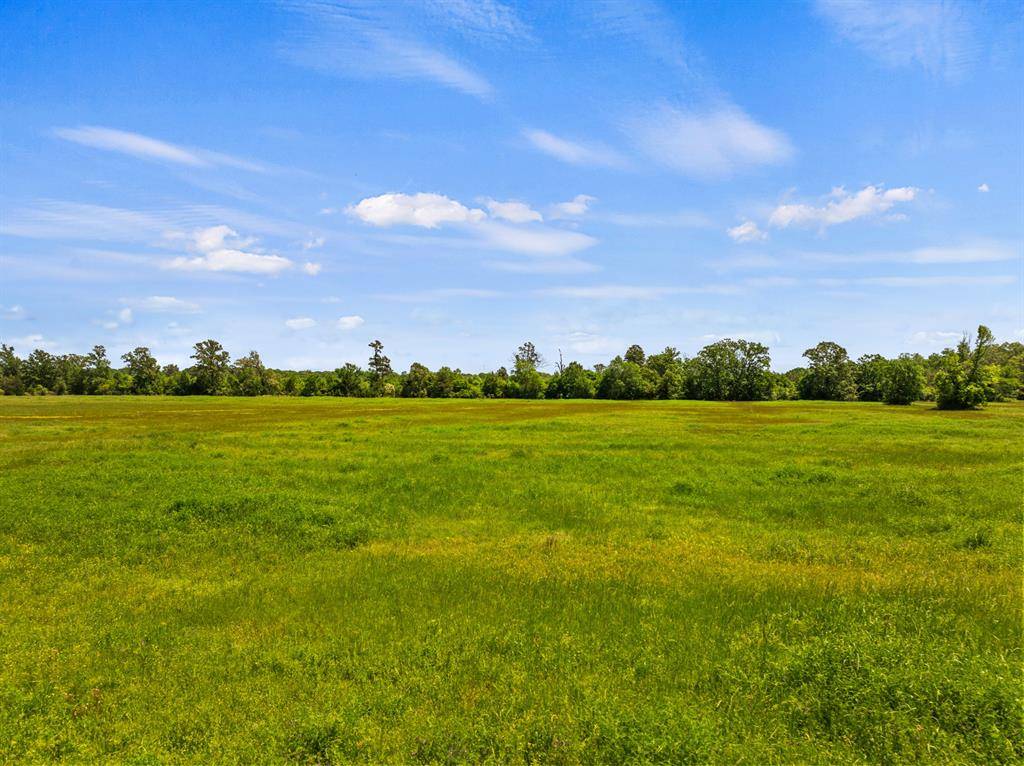 New Boston, TX 75570,tbd cr 4104/4103 cr 4104
