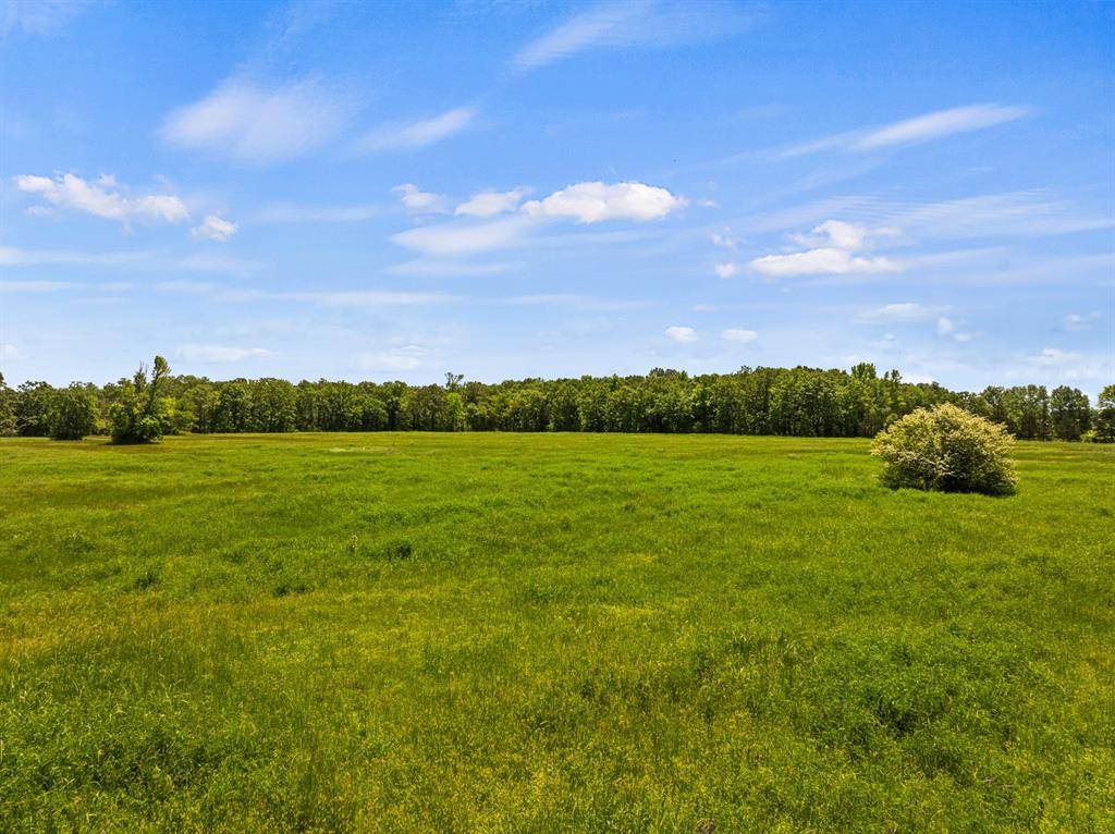 New Boston, TX 75570,tbd cr 4104/4103 cr 4104