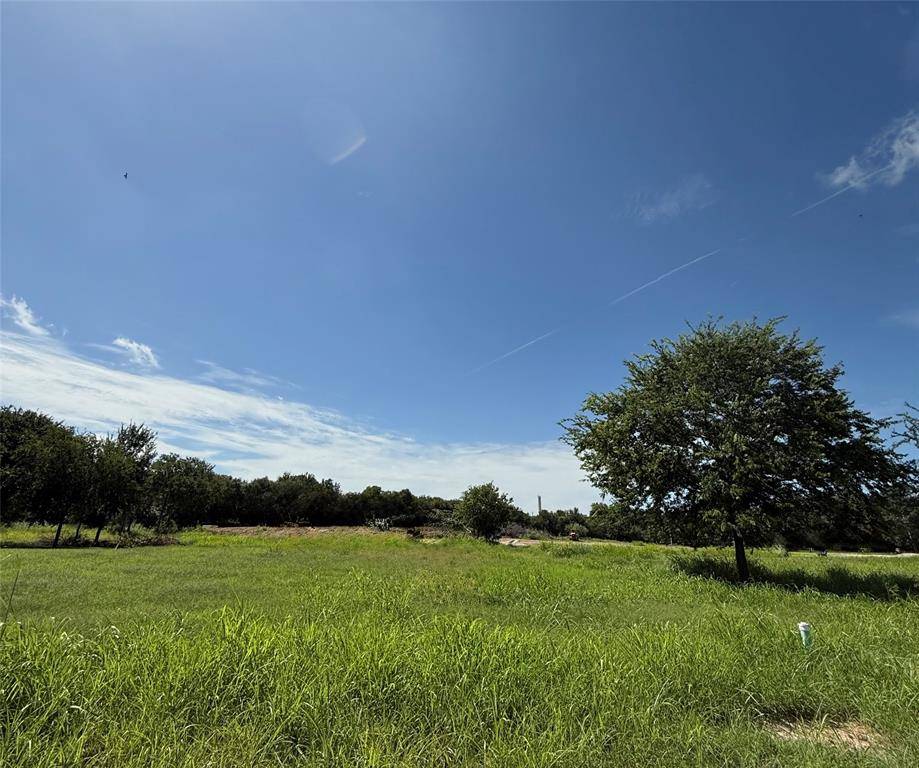 Glen Rose, TX 76043,124 Dove Meadow Lane