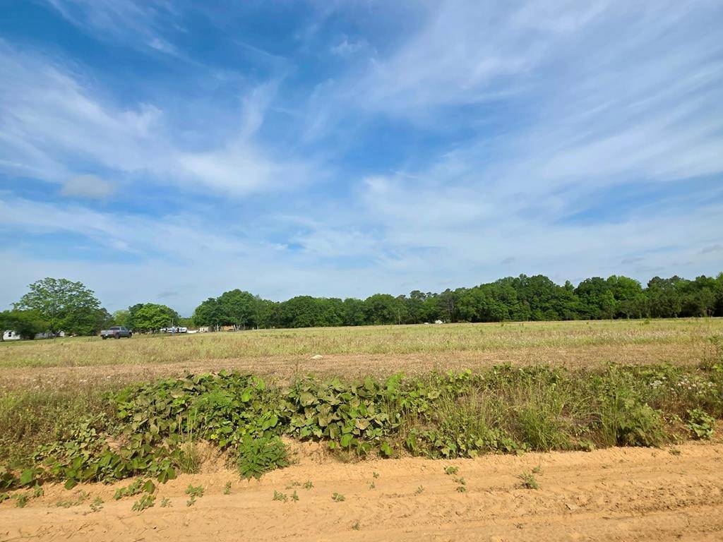 Slocomb, AL 36375,0 H Merritt Road - Parcel D