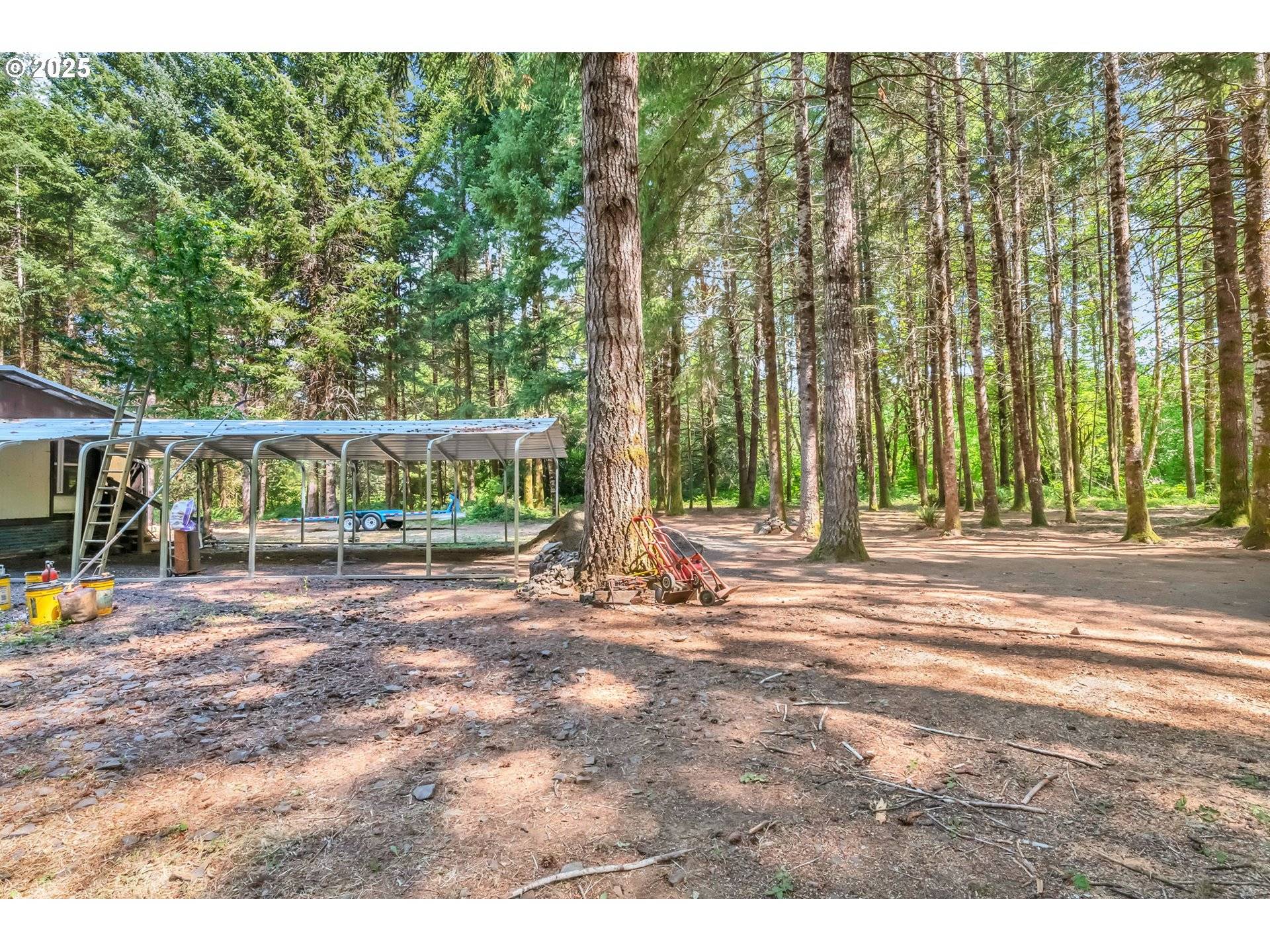 Blachly, OR 97412,20317 HIGHWAY 36