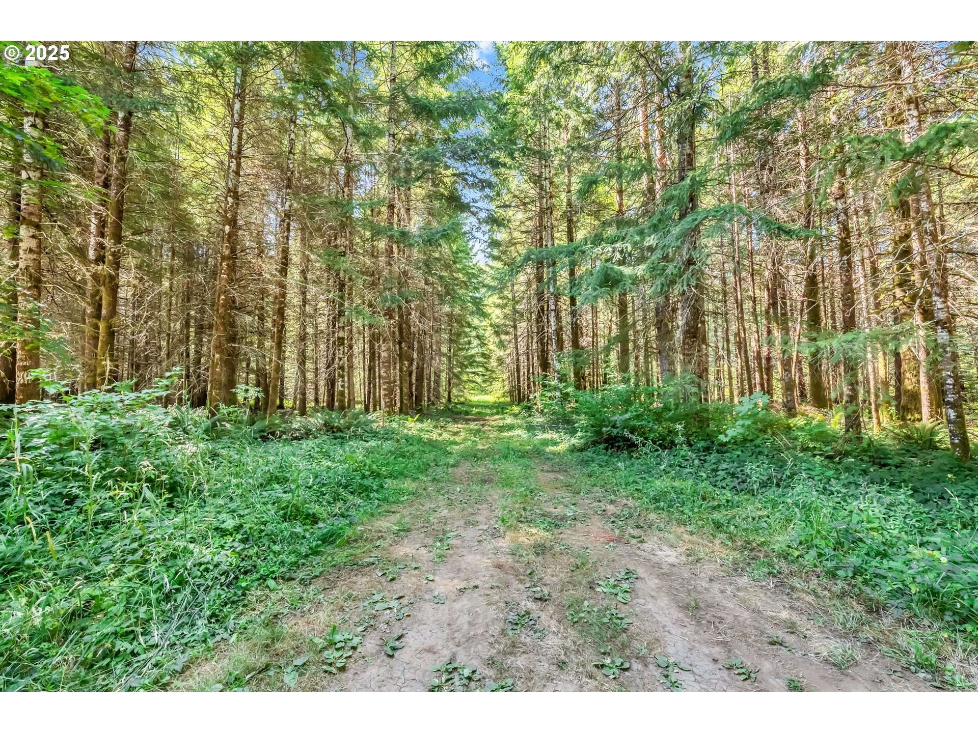 Blachly, OR 97412,20317 HIGHWAY 36