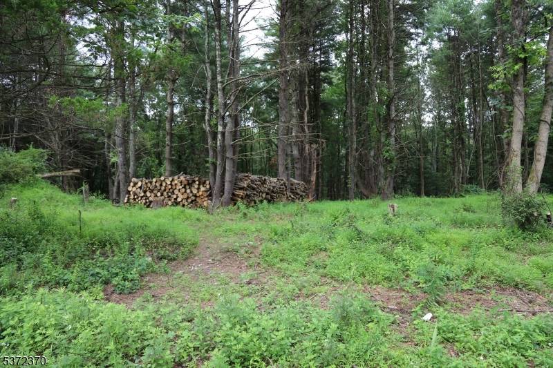 Montague Twp., NJ 07827,109 Riverview Ter
