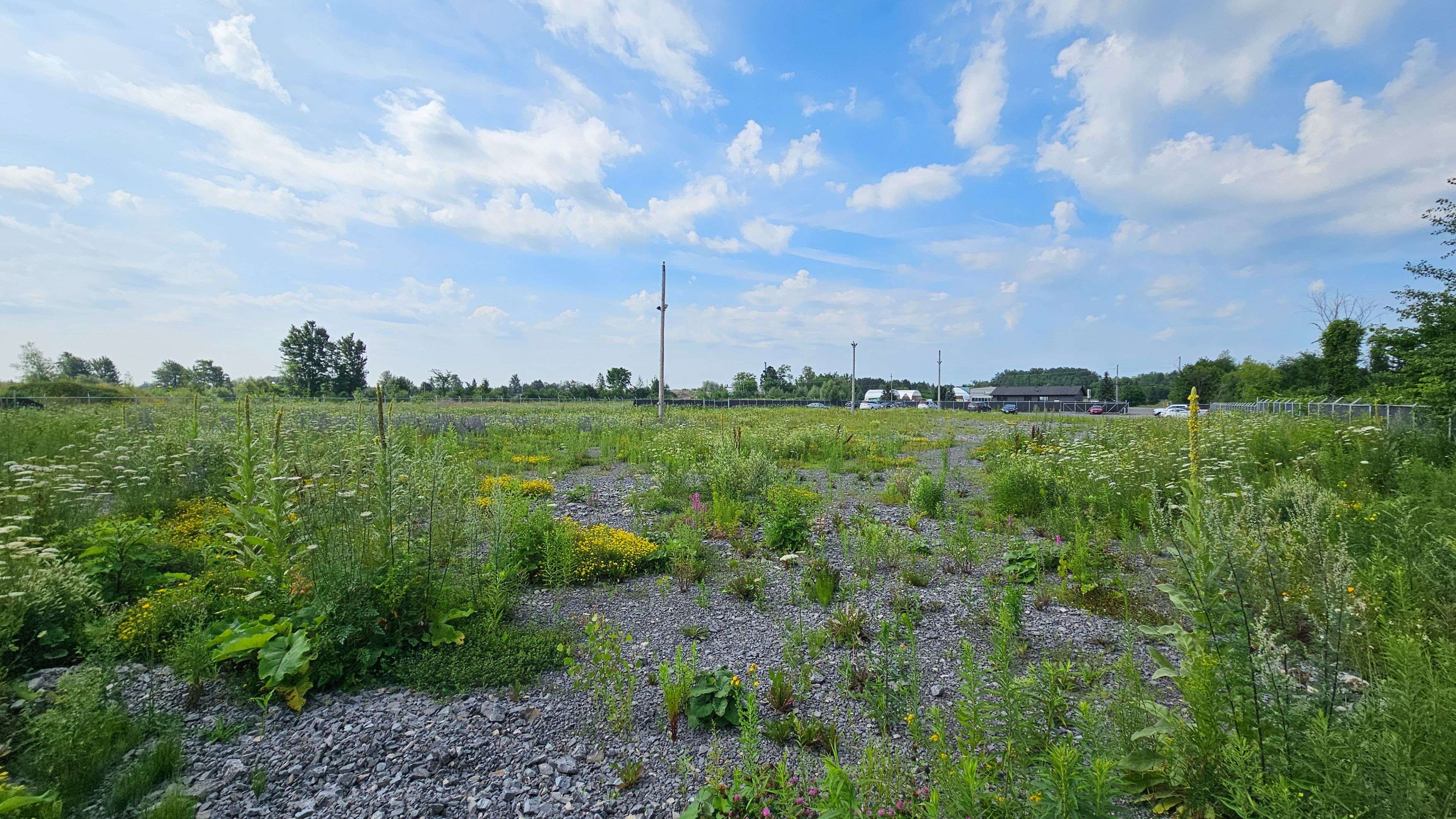 Carp - Huntley Ward, ON K0A 1L0,2822 Carp RD