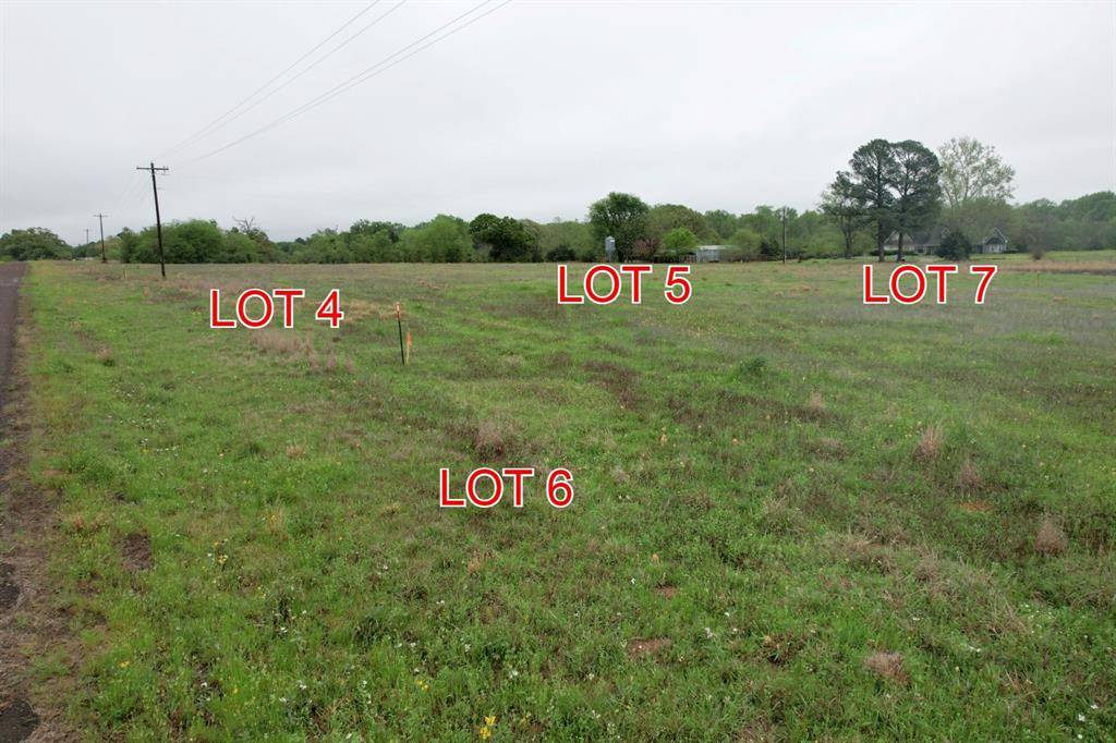 Winnsboro, TX 75494,Lot 6 County Road 4287