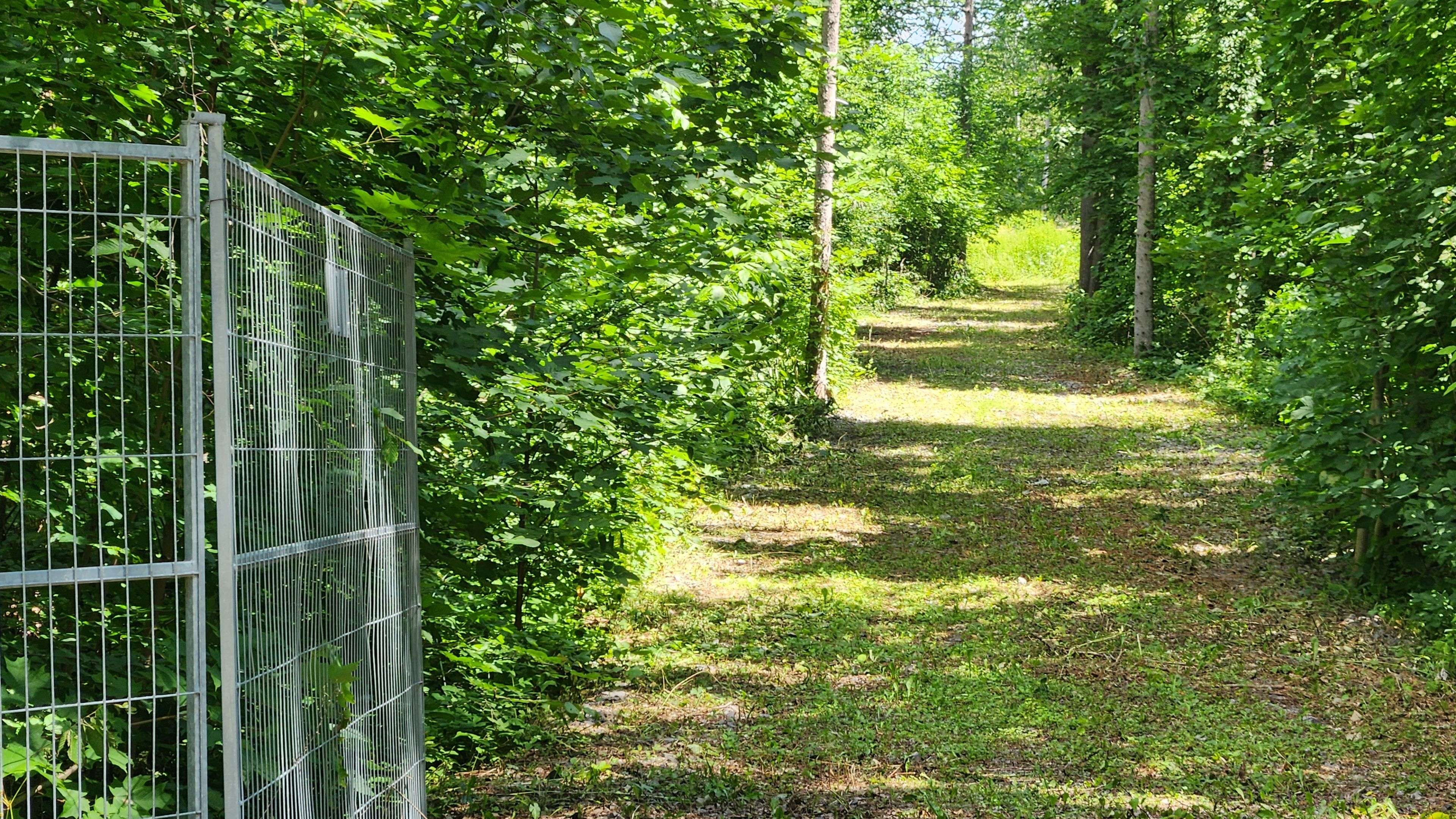 Mcnab/braeside, ON K7S 3G8,442 Campbell DR