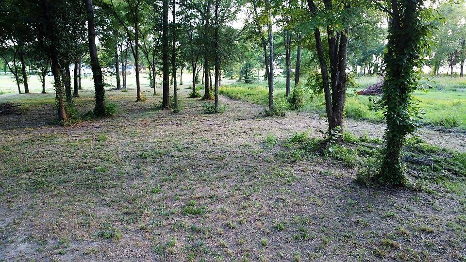 Mabank, TX 75143,659 Calmwater Court