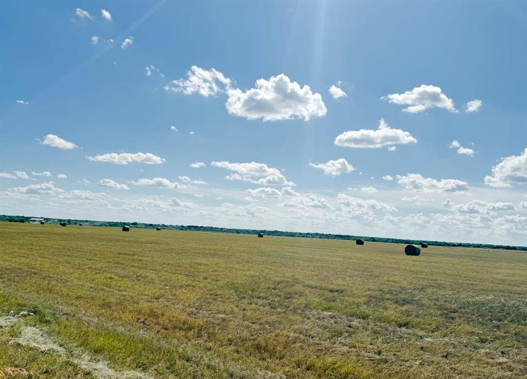 Rochelle, TX 76872,TBD 201Acres County Road 419