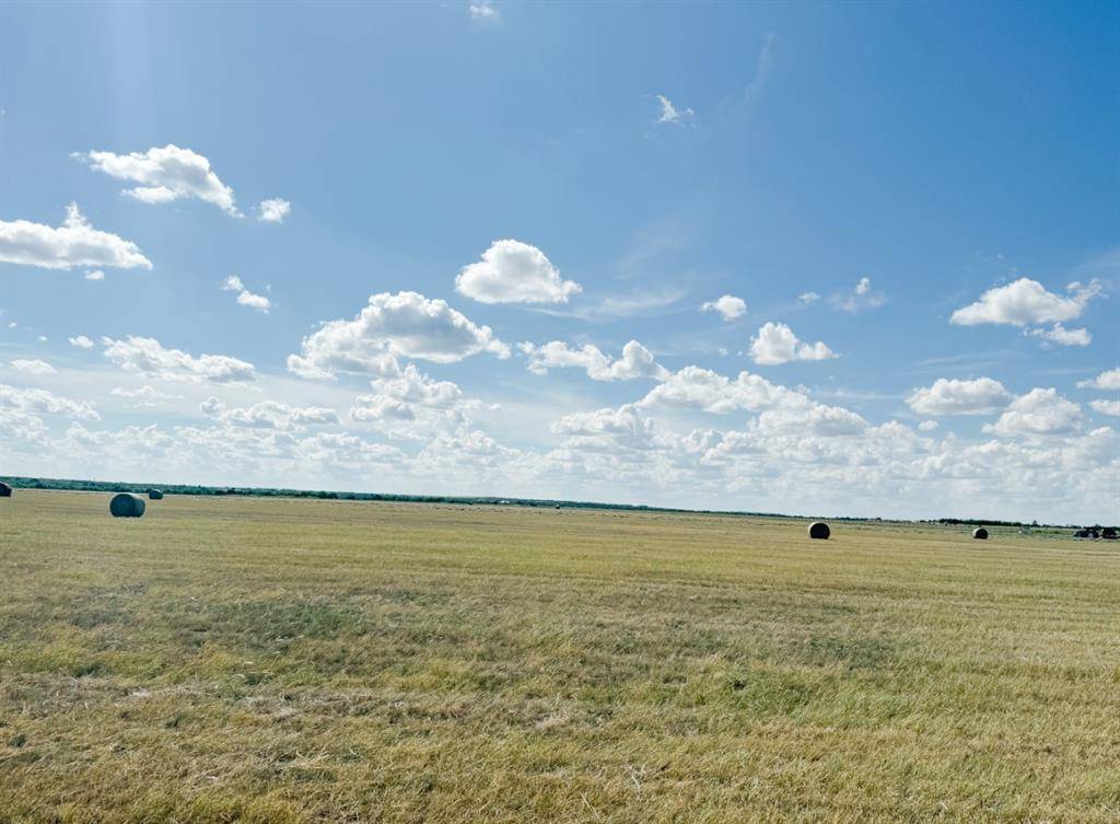 Rochelle, TX 76872,TBD 201Acres County Road 419
