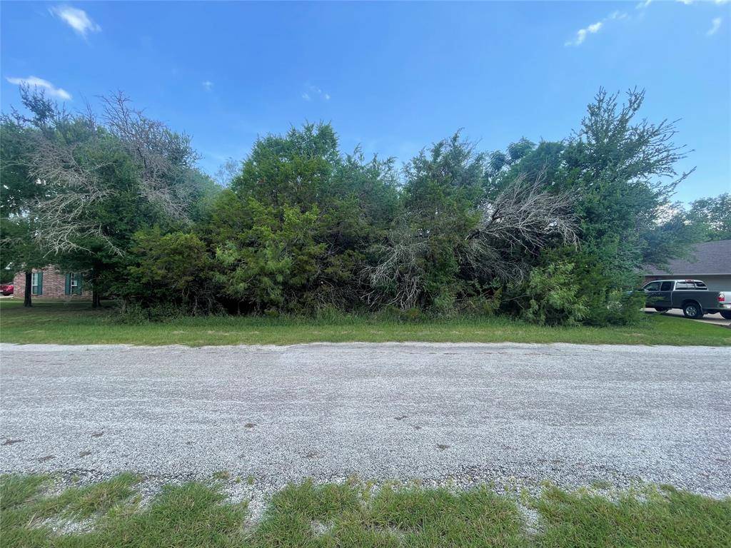 Whitney, TX 76692,35033 Oak Wood Drive