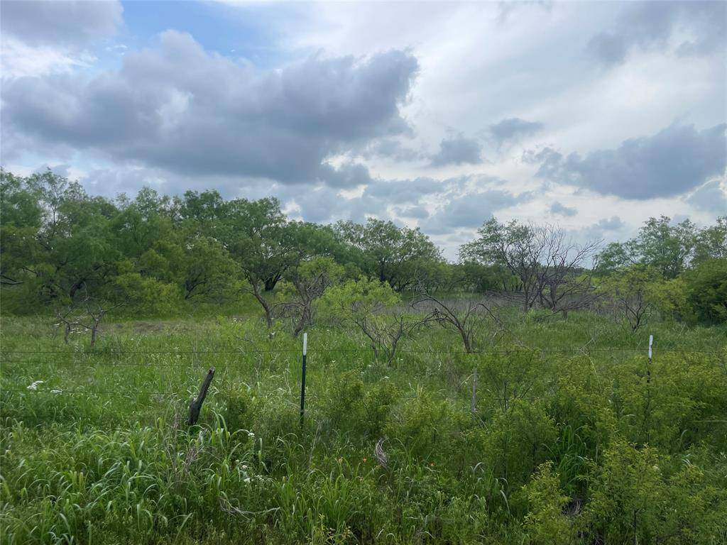 Bluegrove, TX 76365,TBD Whitaker Rd