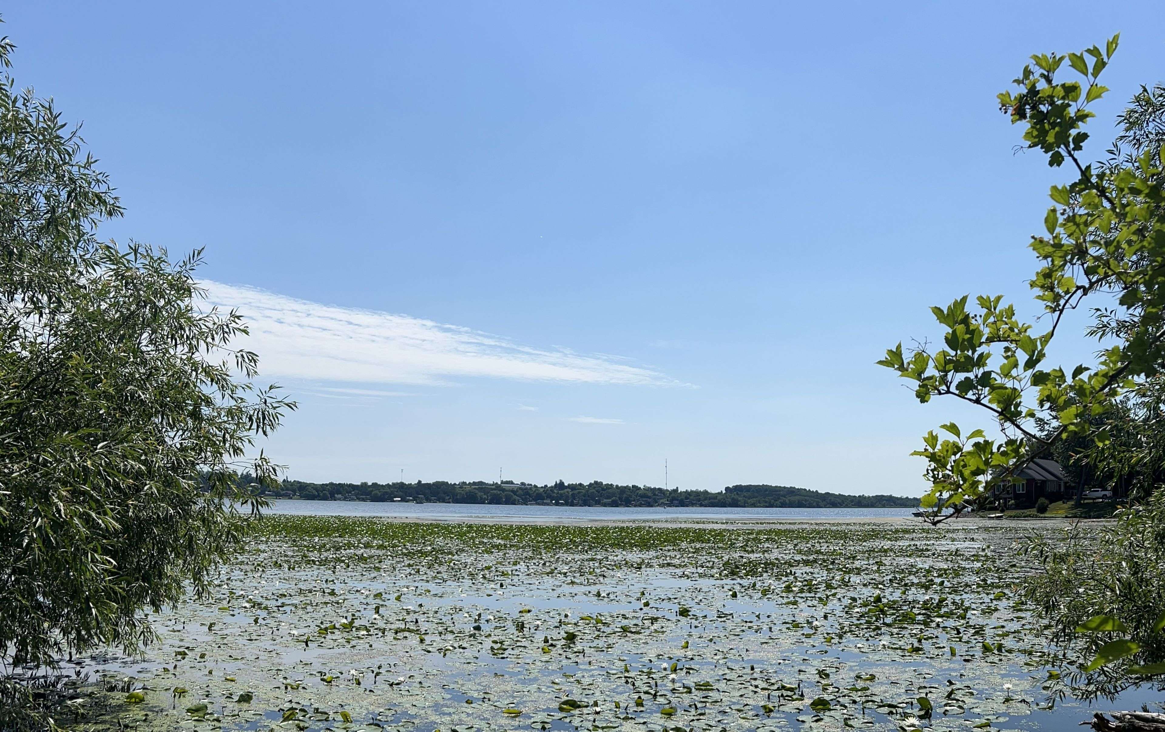 Scugog, ON L9L 0B4,62 Holtby CT W