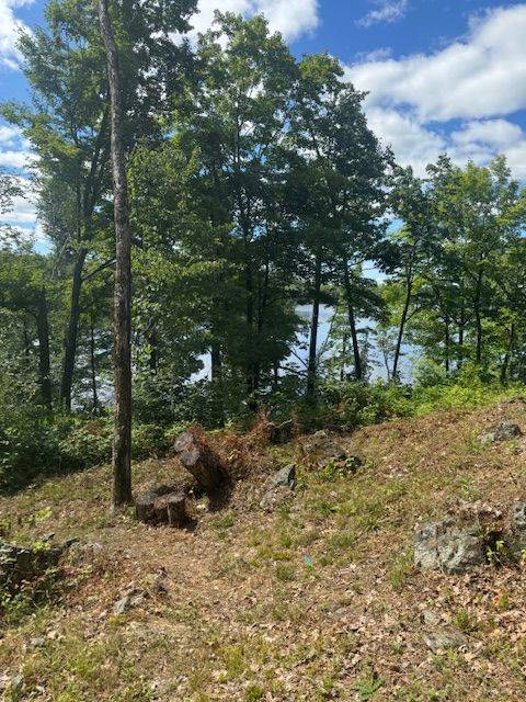 Marmora And Lake, ON K0K 2M0,493 Buttermilk LN N