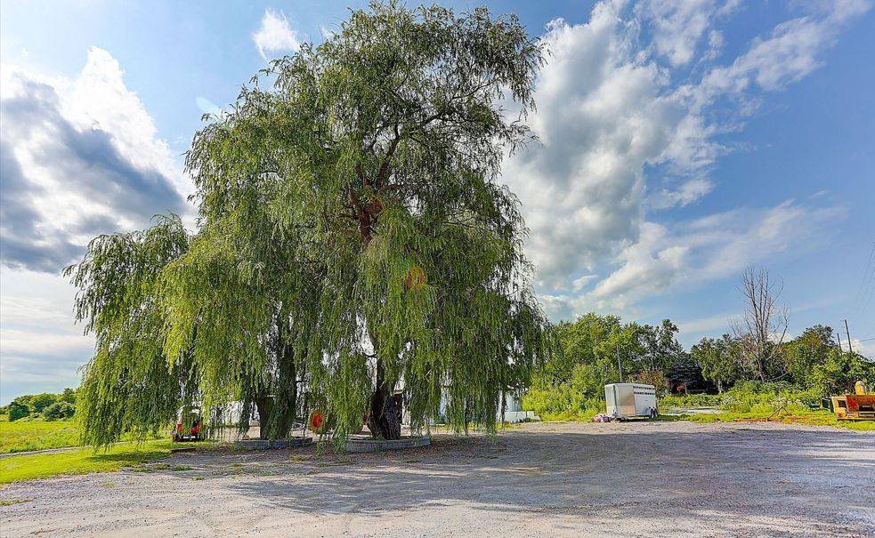 East Gwillimbury, ON L0G 1R0,22478 Leslie ST