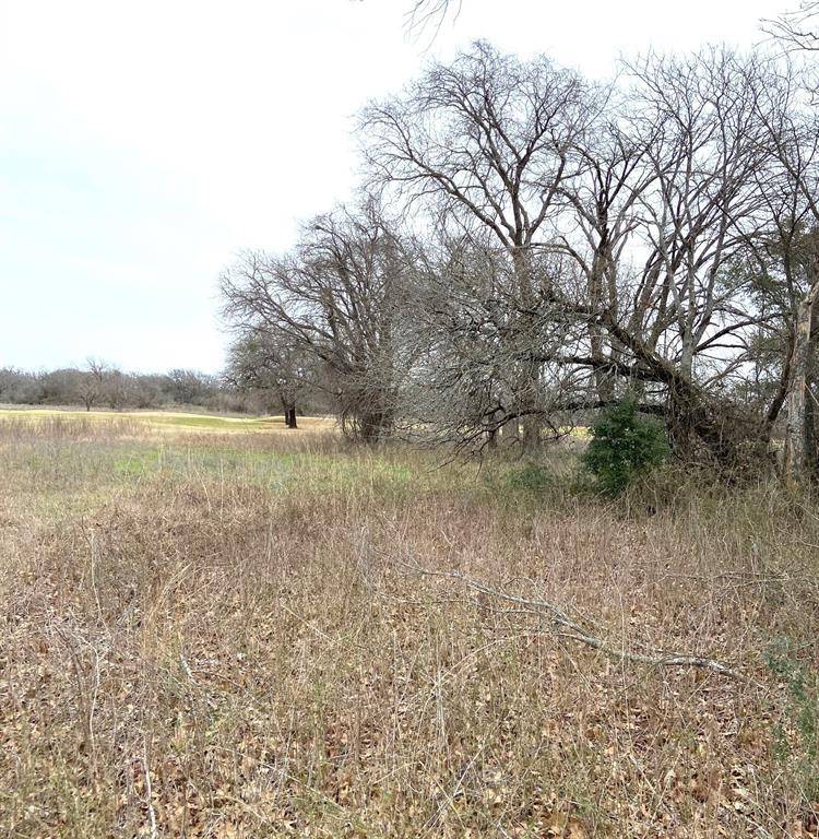 Whitney, TX 76692,27205 Meadowmore Drive