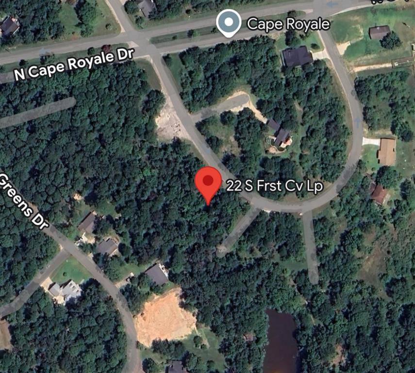 Coldspring, TX 77331,22 S Forest Cove Loop