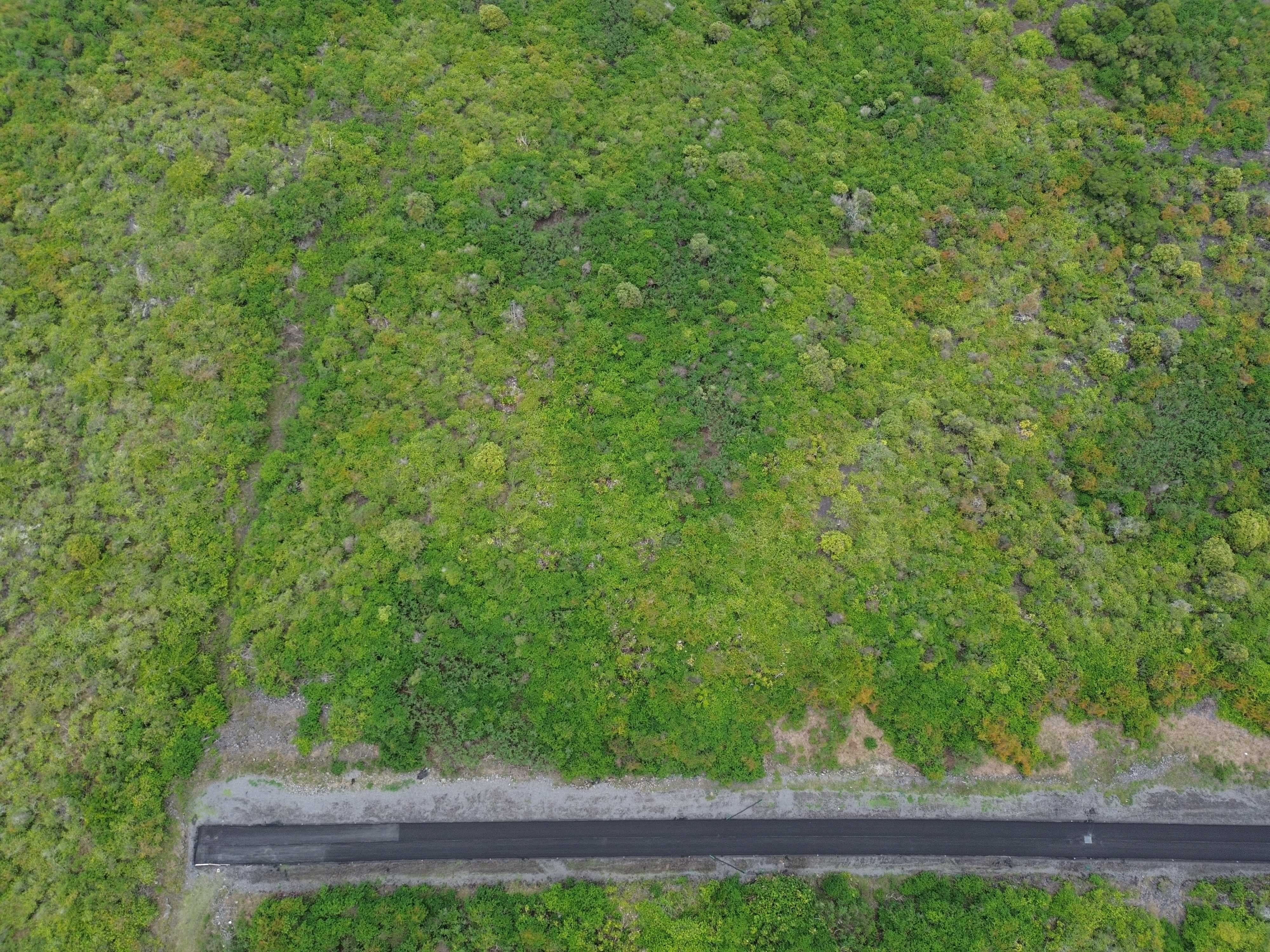 Captain Cook, HI 96704,87-3120 KEALII PL