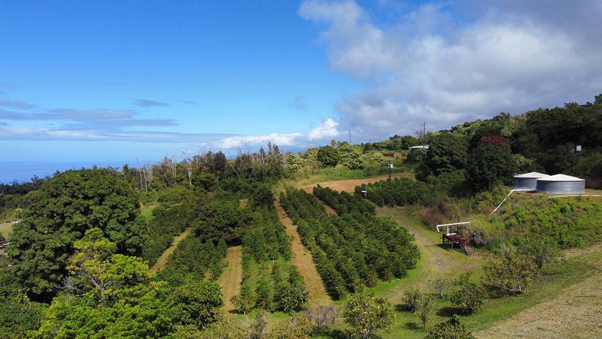 Captain Cook, HI 96704,87-1809 OPIHIHALE ST