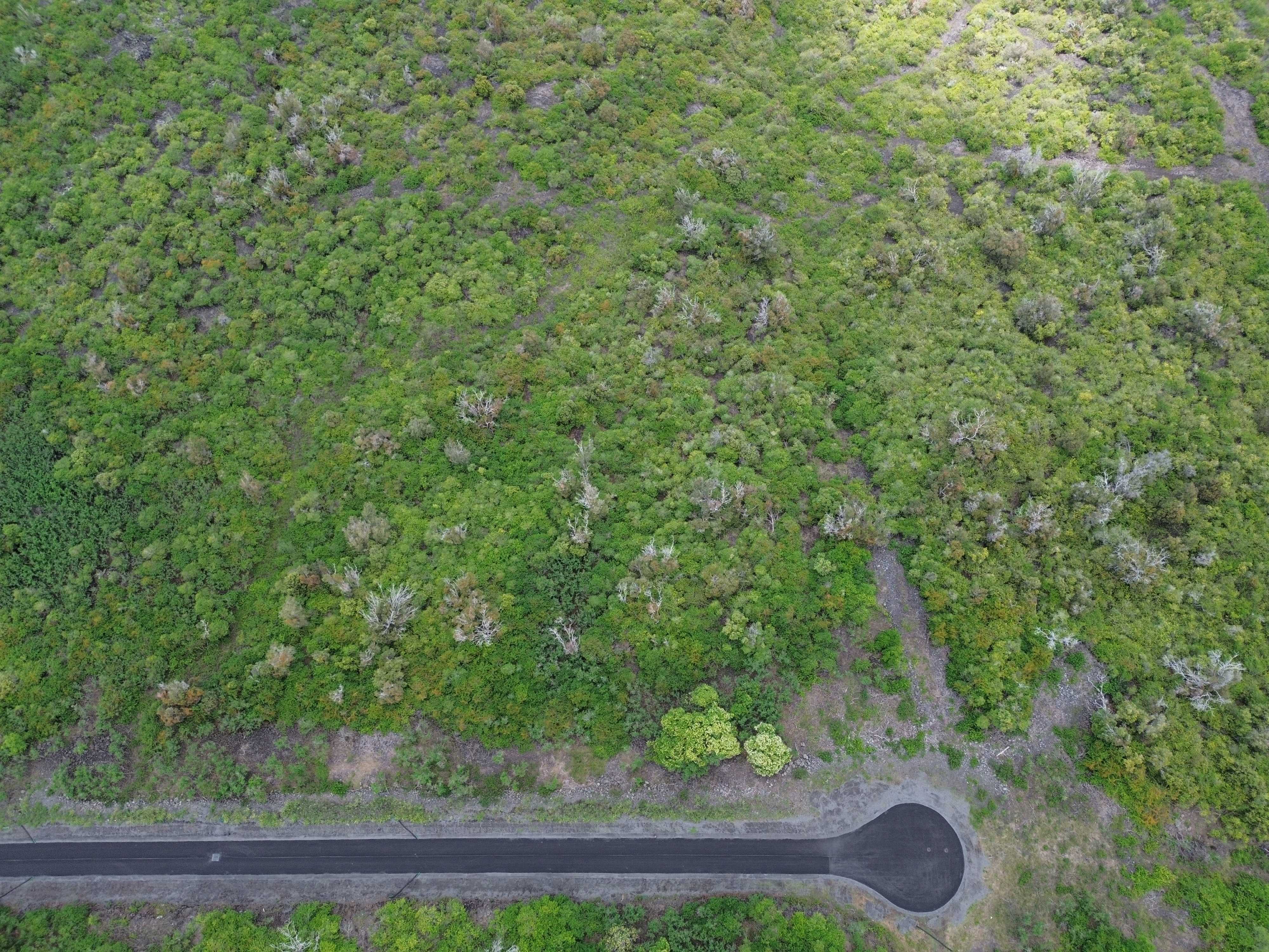 Captain Cook, HI 96704,87-4035 AUKELE PL