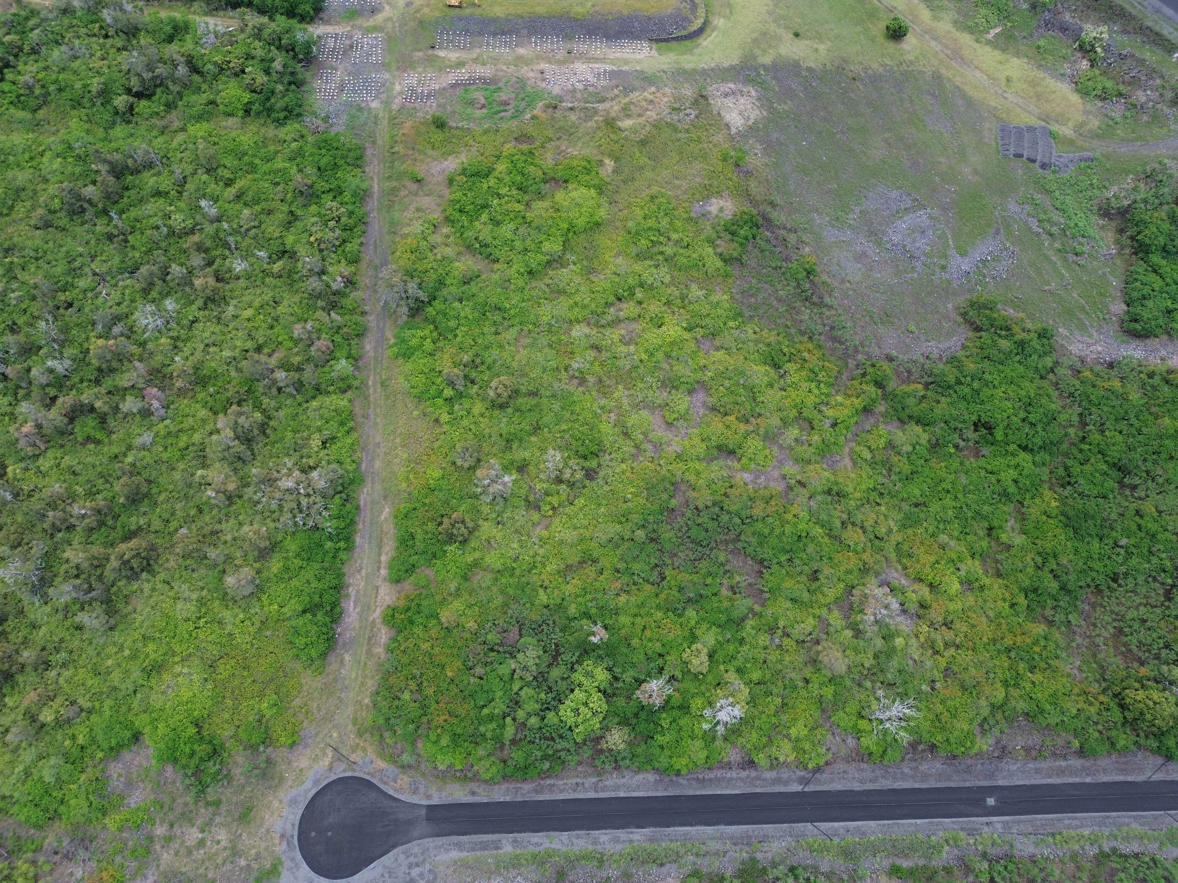 Captain Cook, HI 96704,87-4040 AUKELE PL