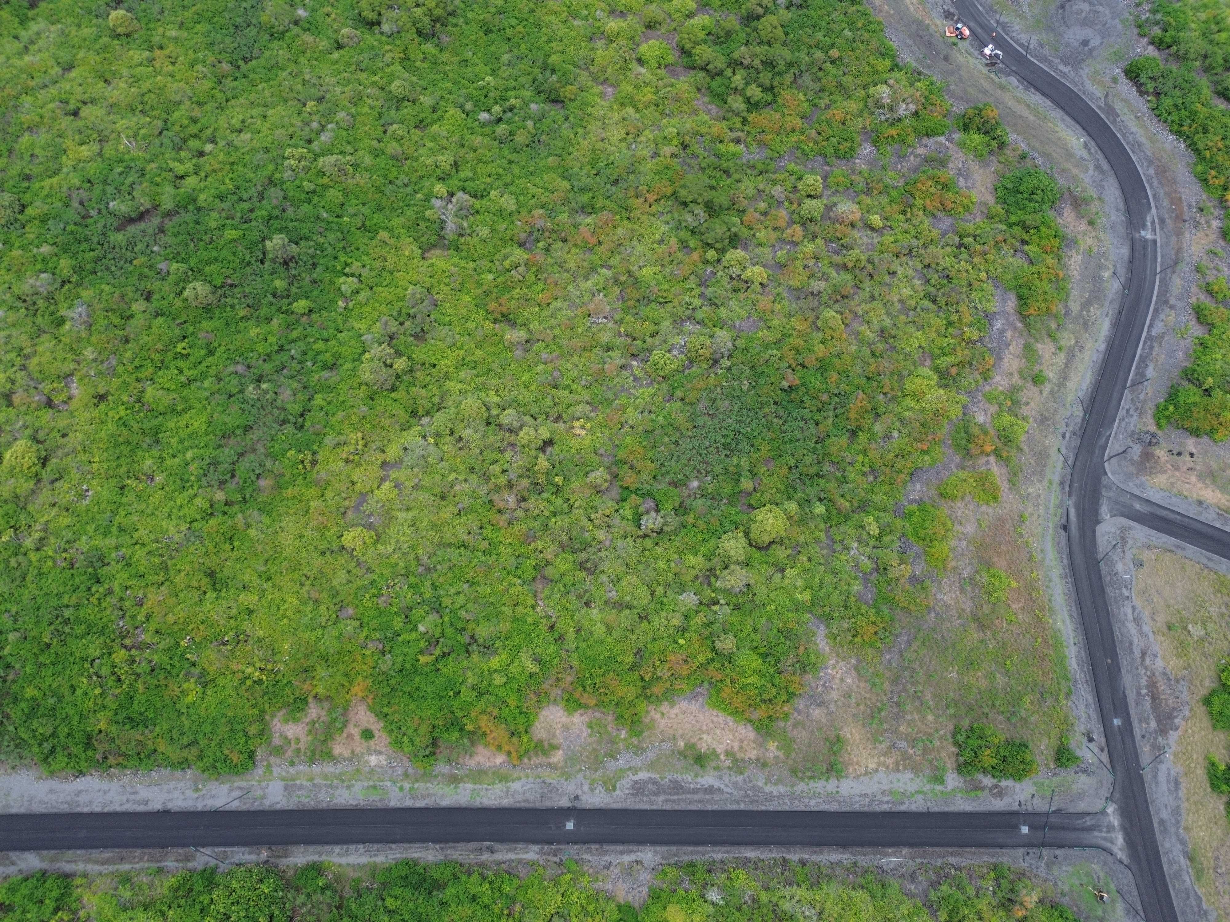 Captain Cook, HI 96704