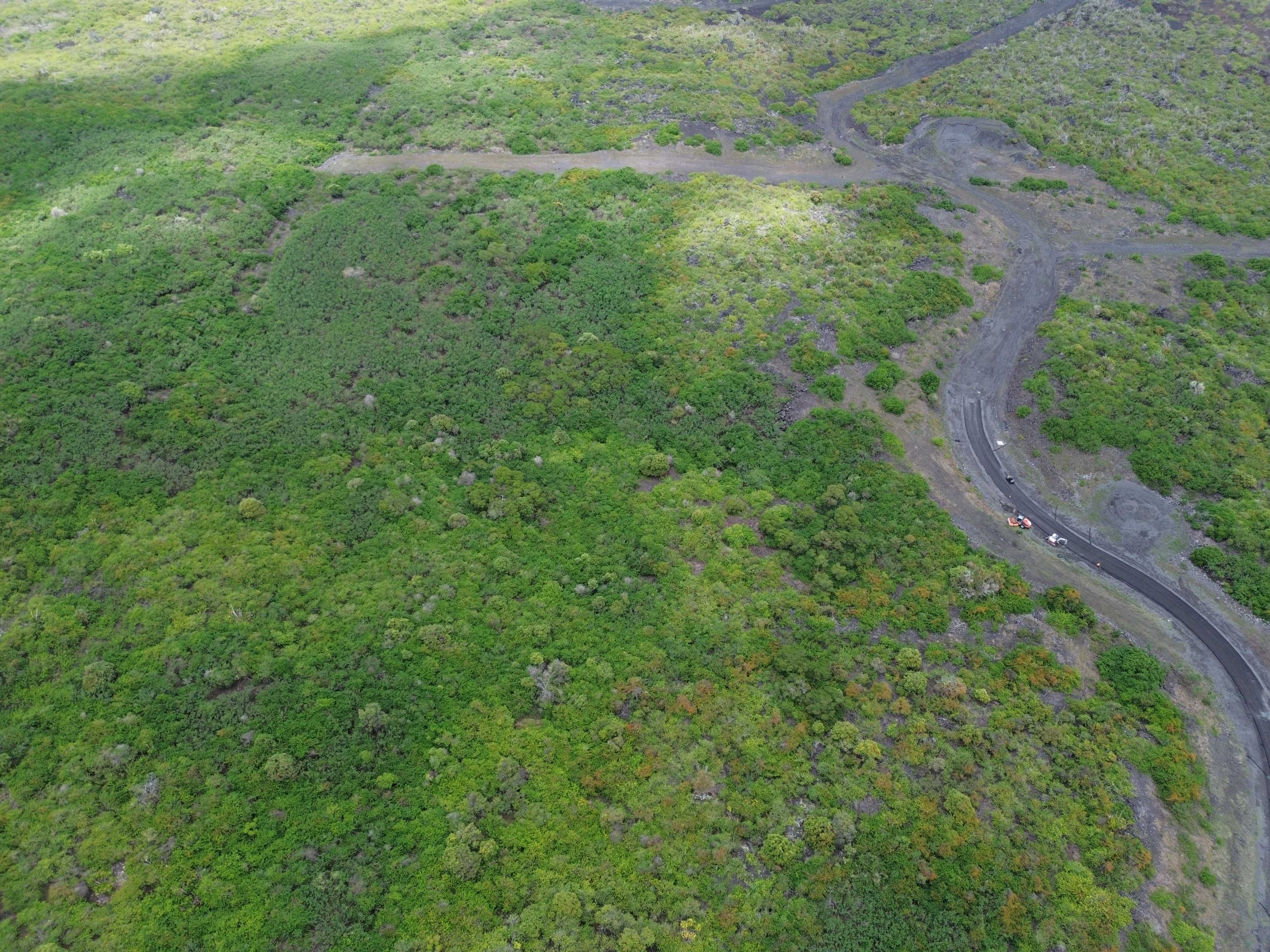 Captain Cook, HI 96704,87-1815 OPIHIHALE ST