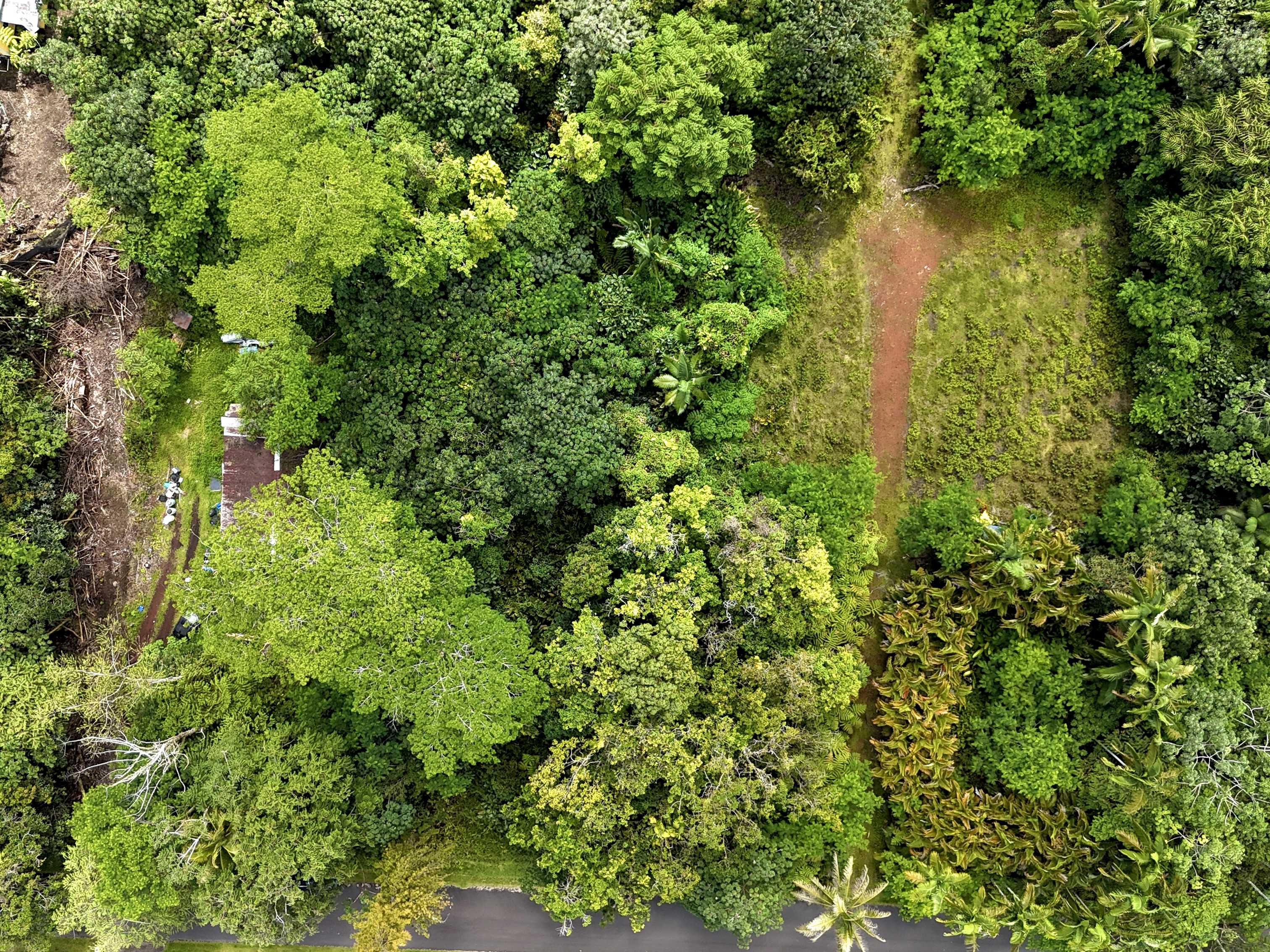 Pahoa, HI 96778,POMAIKAI ST