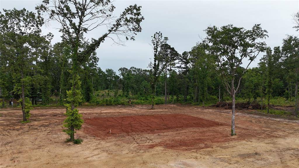 Diana, TX 75640,TBD Private Road 1111