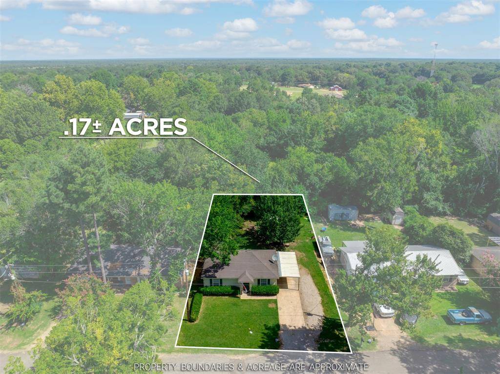 Reno, TX 75462,6295 Lakeview Drive