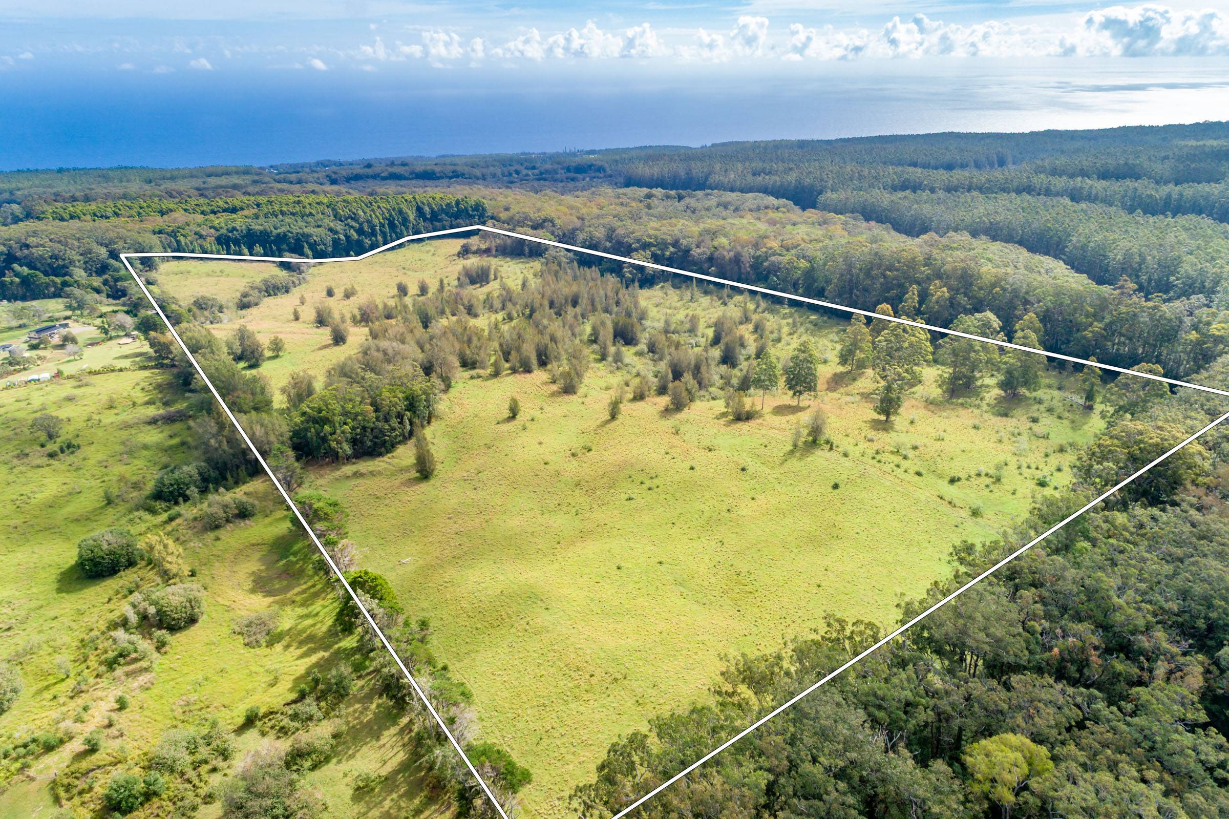 Honokaa, HI 96727,45-3445 KAHANA DR