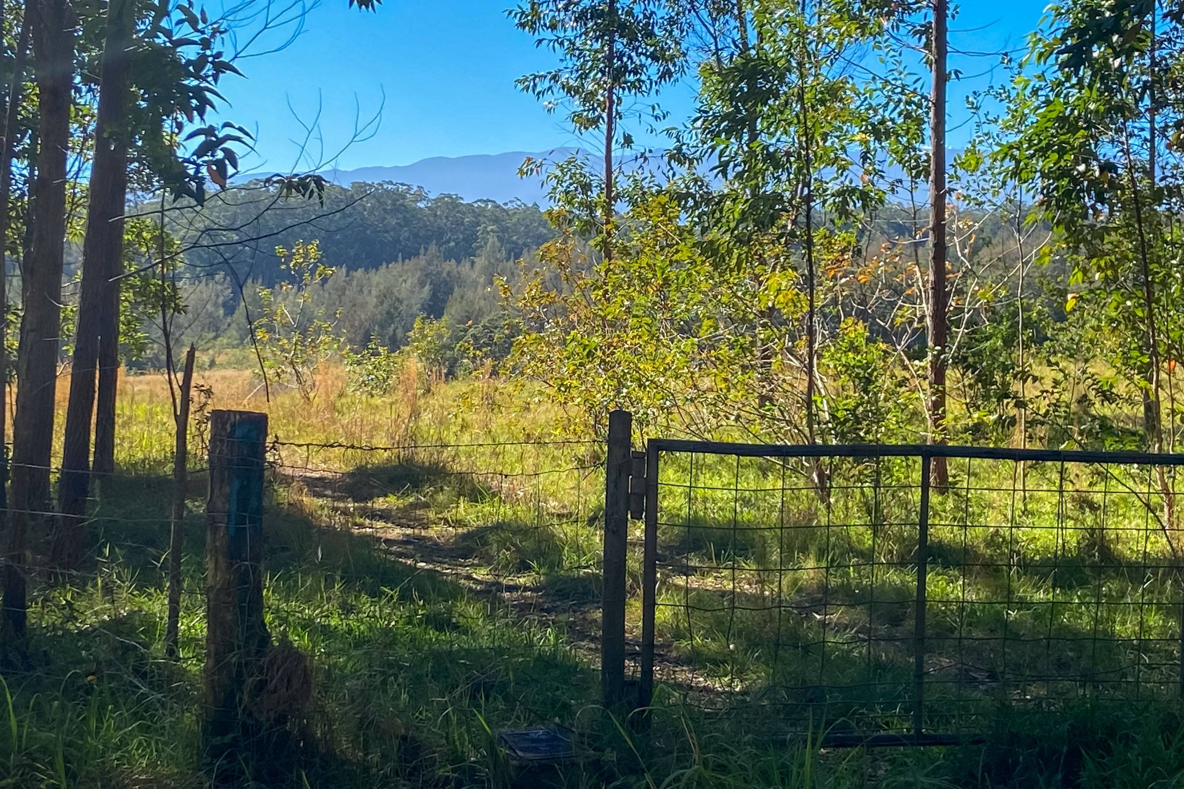 Honokaa, HI 96727,45-3445 KAHANA DR
